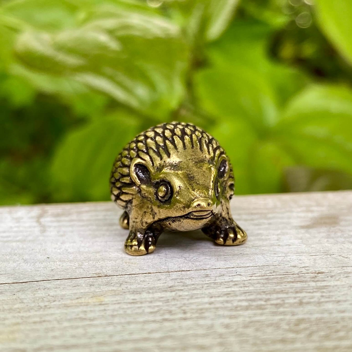 Solid Brass Hedgehog - Symbol of Curiosity, Protection & Resilience