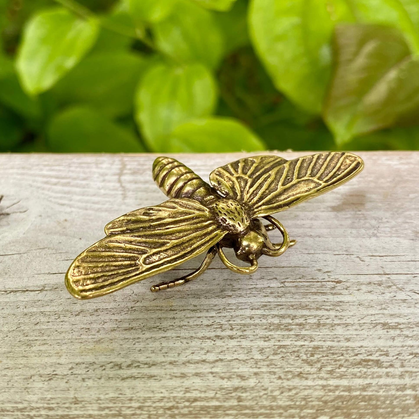Solid Brass Moth - Symbol of Spiritual Growth, Transformation & Trusting Your Path