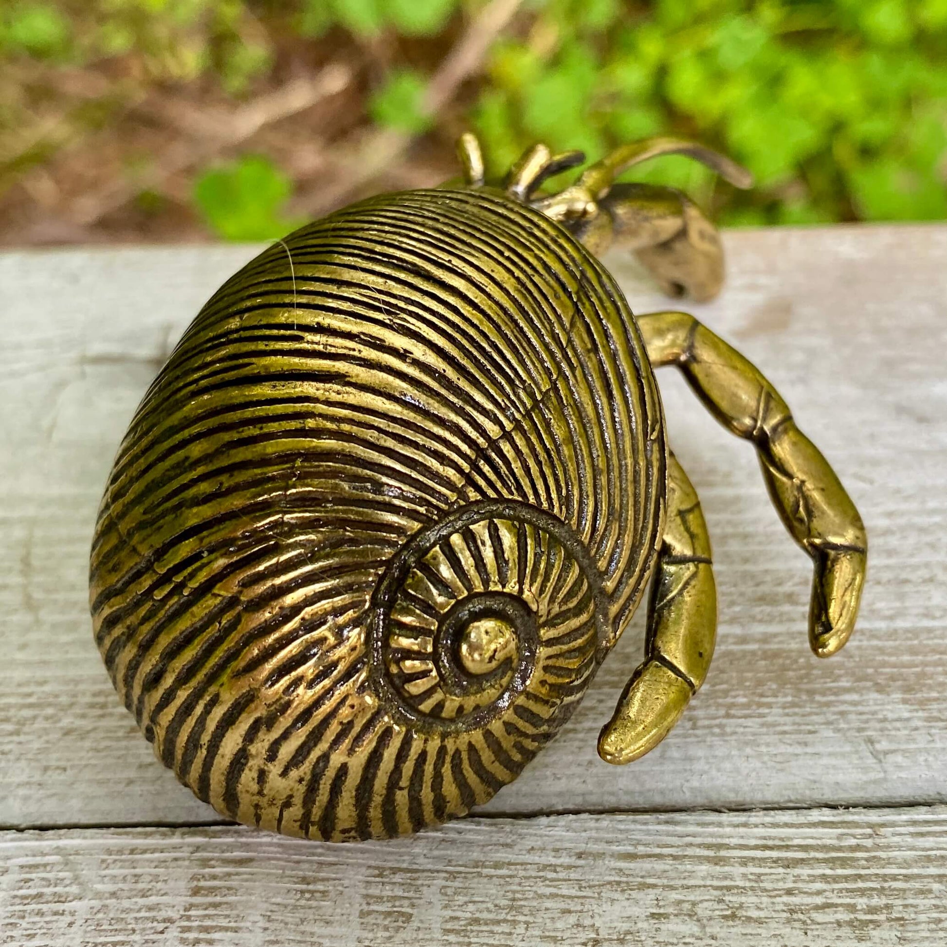 Solid brass hermit crab figurine by Wild Brass, symbolizing adaptability, protection, and personal growth.