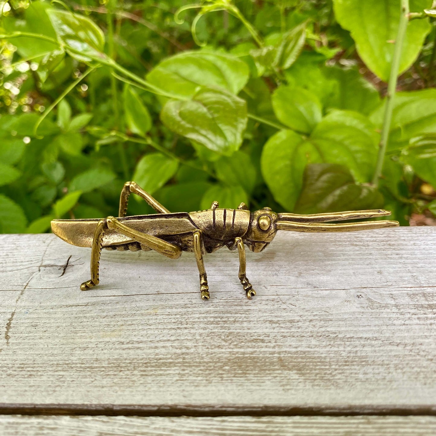 Solid Brass Grass Hopper - Symbol of Good Fortune, Growth & Faith