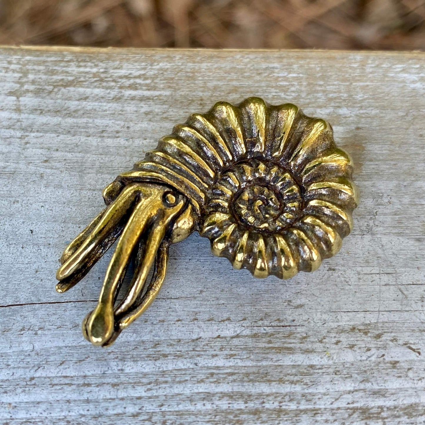 Solid brass ammonite fossil with Fibonacci spiral, symbol of ancient origins and evolution, crafted by Wild Brass.
