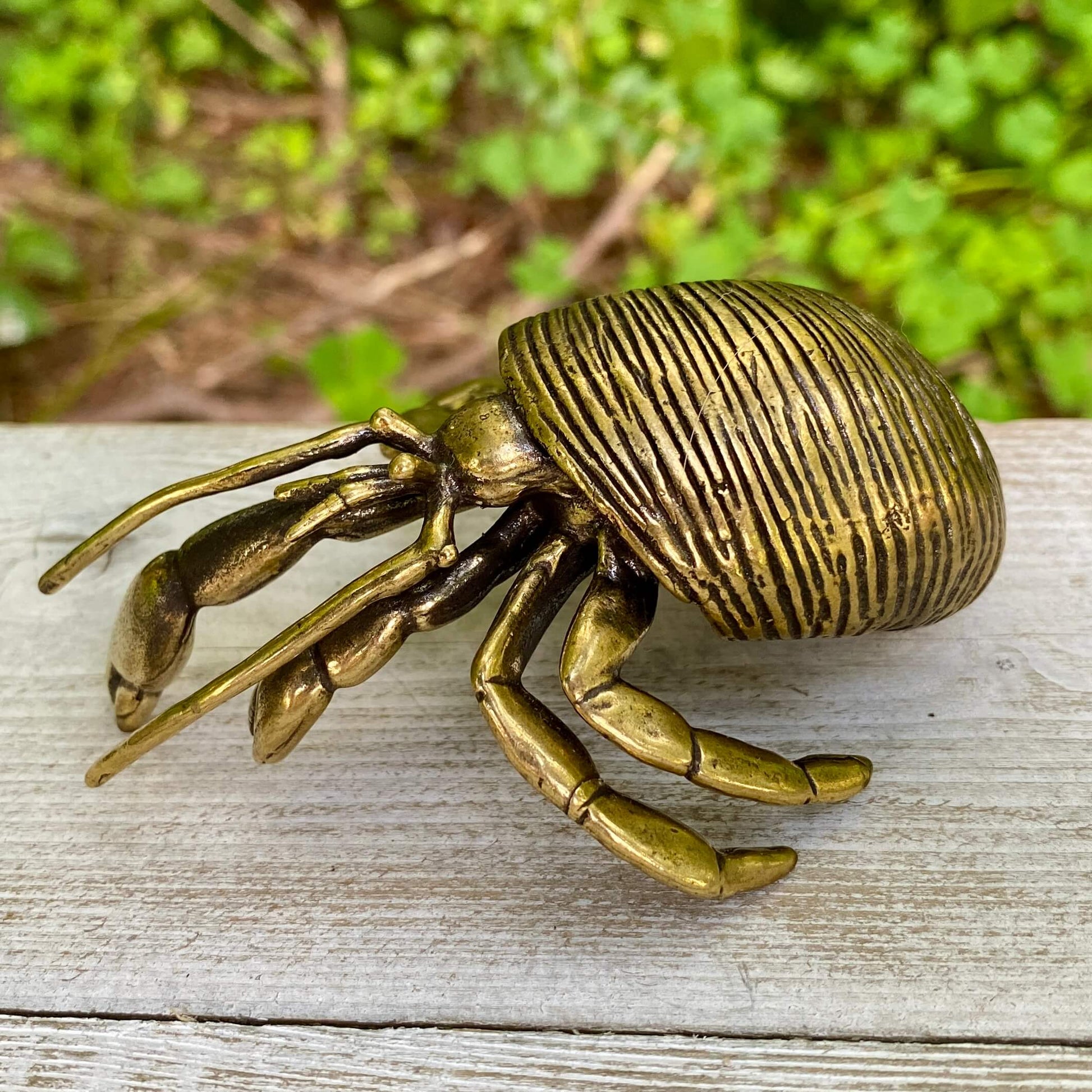 Solid brass hermit crab sculpture by Wild Brass, symbolizing adaptability, protection, and personal growth.