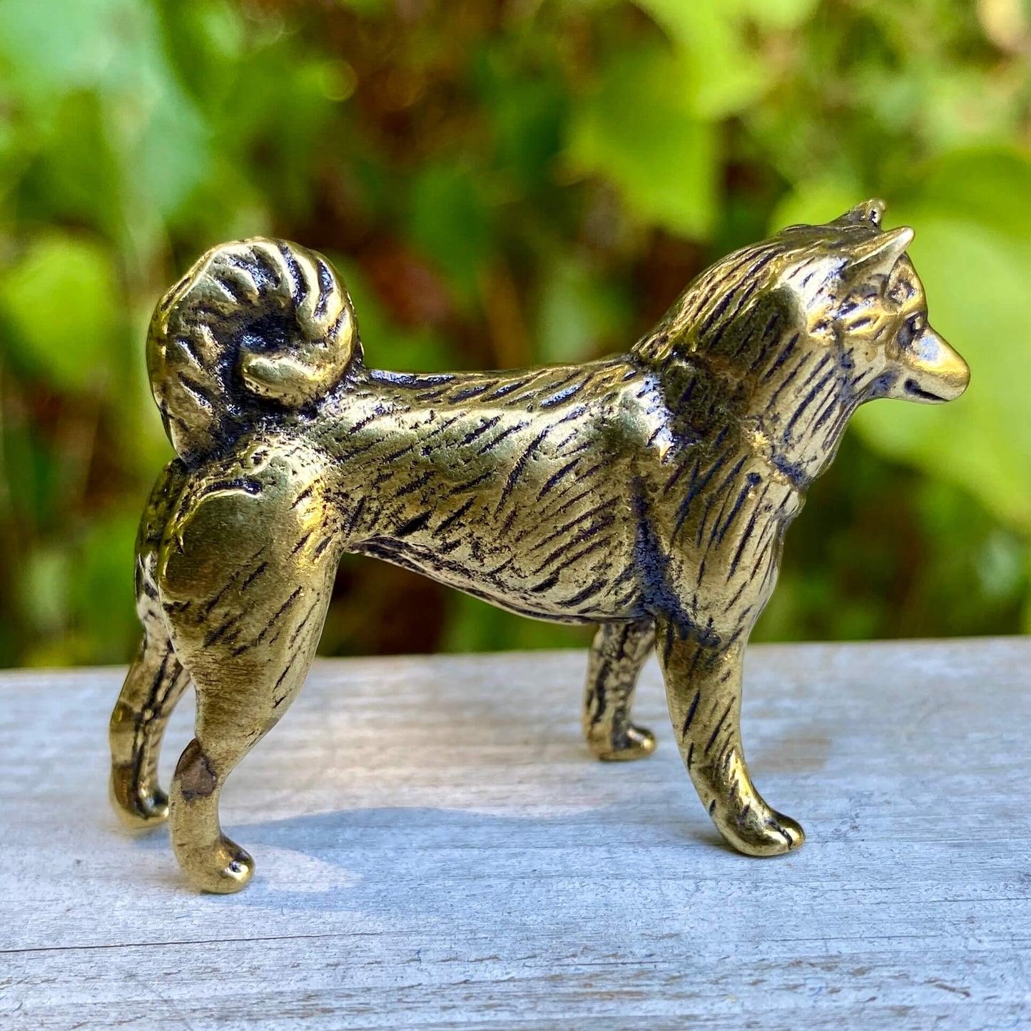 Solid brass Shiba Inu dog figurine by Wild Brass, showcasing a detailed, polished sculpture of the loyal and courageous Japanese breed.