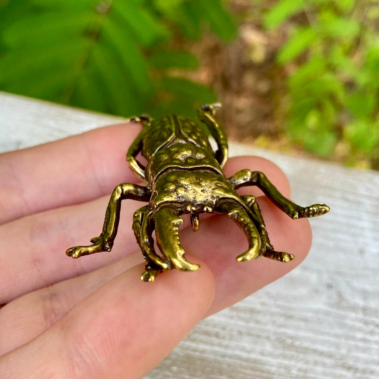 Solid brass stag beetle bug from Wild Brass, symbol of strength and protection, shown with detailed craftsmanship.