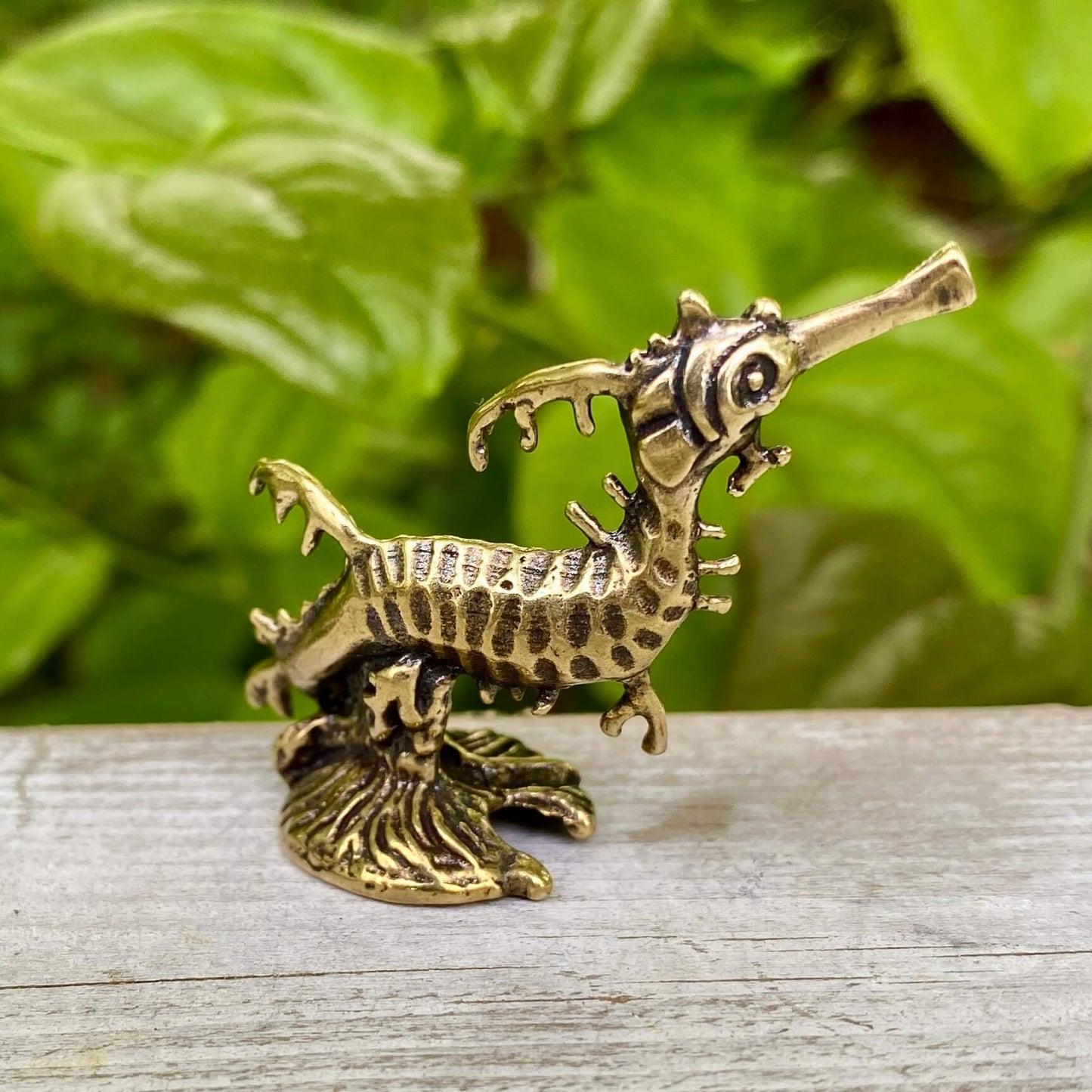 Solid Brass Seahorse / Sea Dragon - Symbol of Patience, Grace & Strength