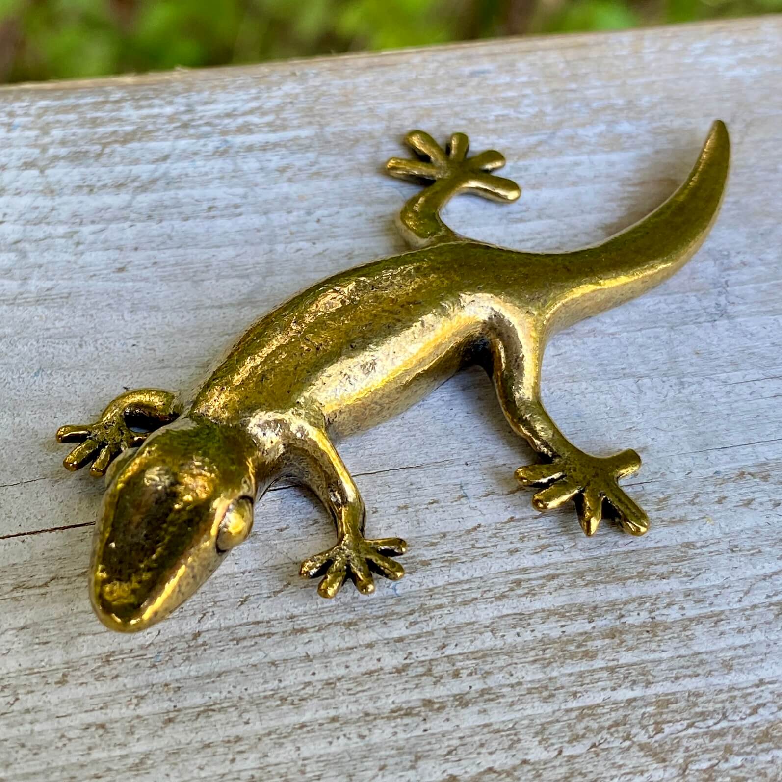 Solid brass gecko figurine by Wild Brass, symbol of renewal, adaptability, and resilience, shown with detailed textured surface.