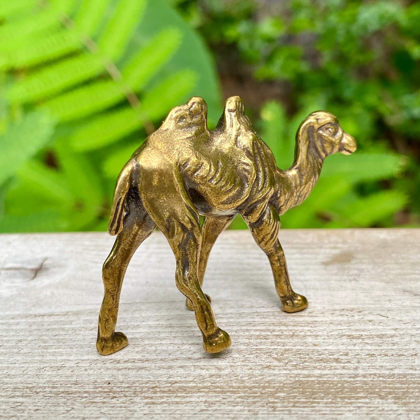 Solid brass camel sculpture by Wild Brass, symbol of endurance, patience, and survival, detailed animal figurine on a smooth base.