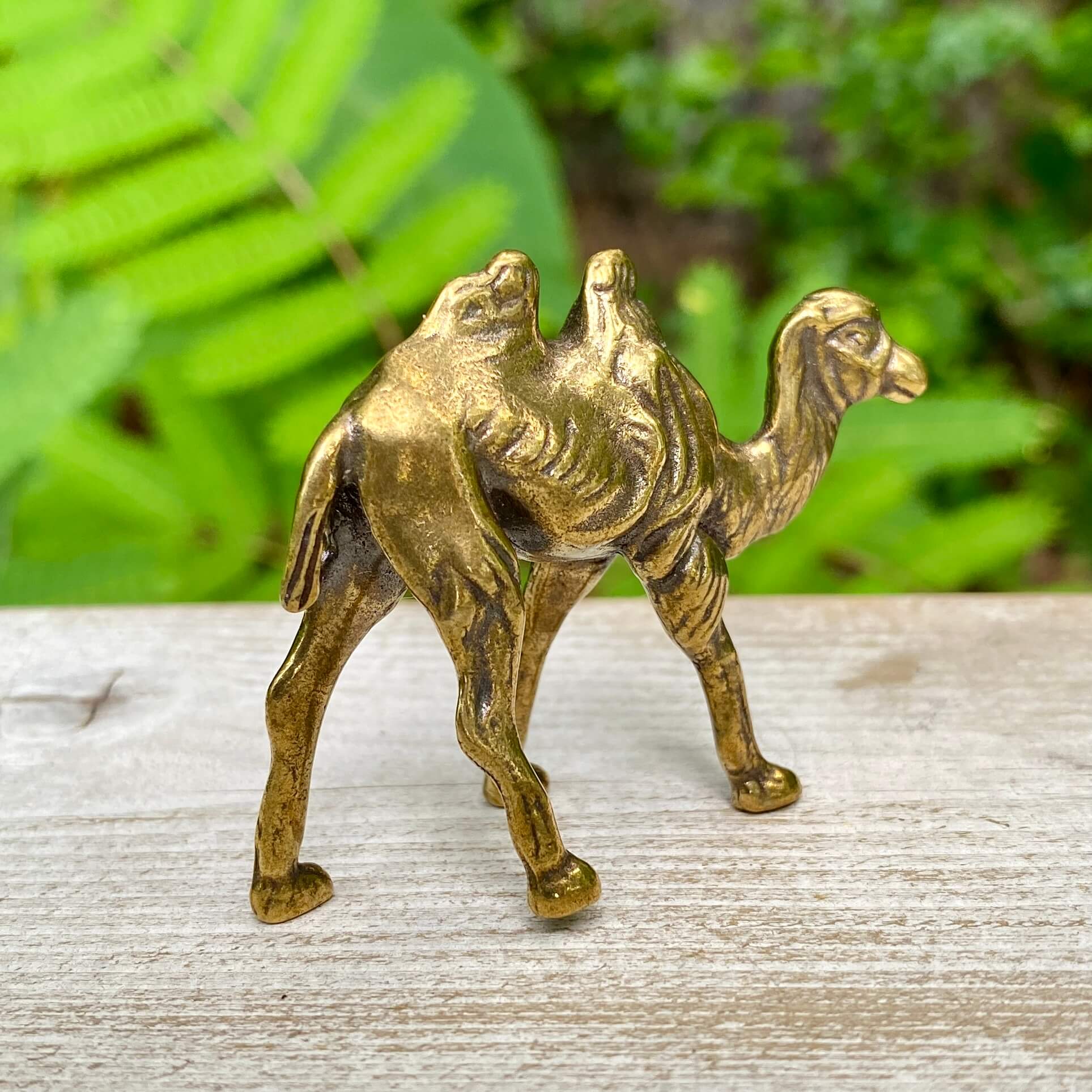 Solid brass camel sculpture by Wild Brass, symbol of endurance, patience, and survival, detailed animal figurine on a smooth base.