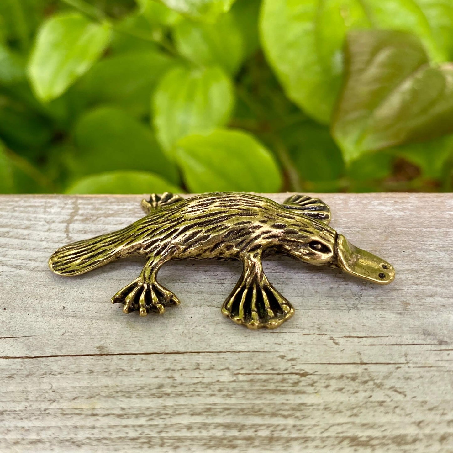 Solid Brass Platypus - Symbol of Adaptability, Confidence & Creativity