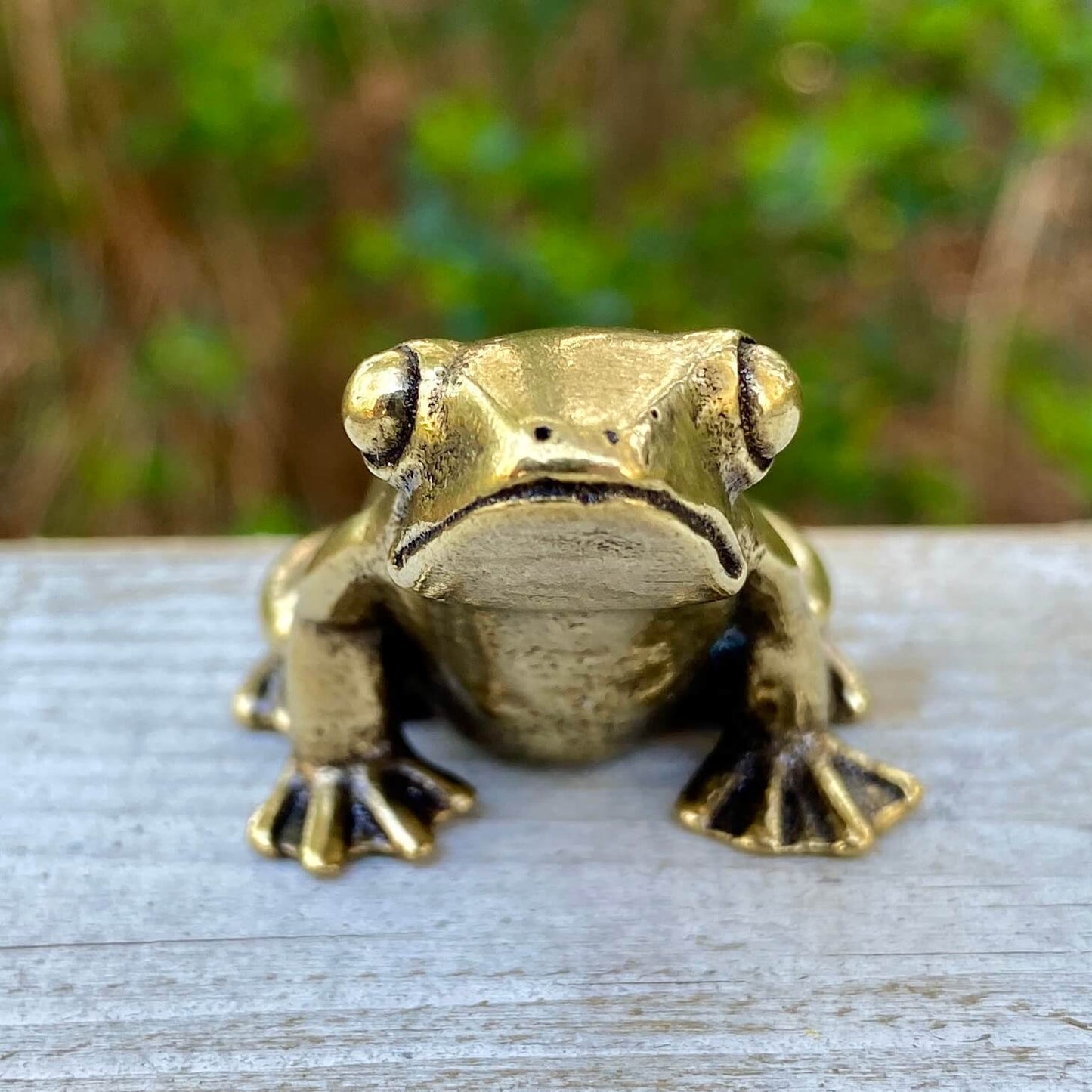Solid brass frog sculpture by Wild Brass, symbol of transformation, renewal, and luck, shown on a neutral background.