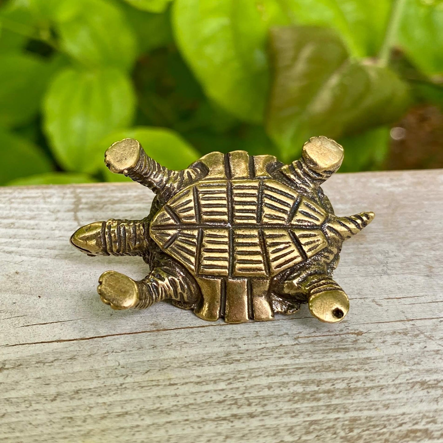 Solid Brass Snapping Turtle - Symbol of Patience & Following your Path