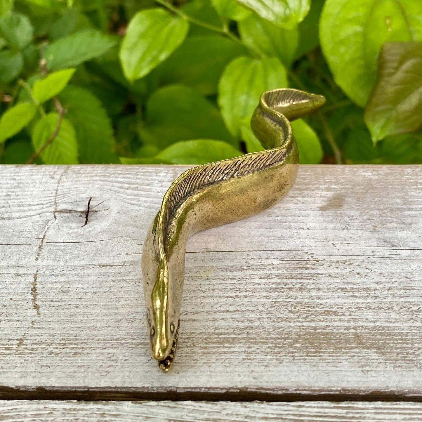 Solid Brass Electric Eel - Symbol of Energy, Hidden Power, Intuition