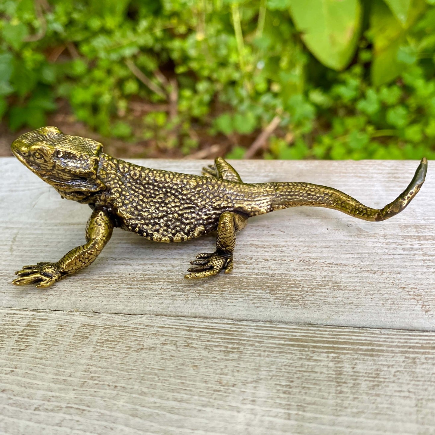 Solid brass lizard figurine by Wild Brass, symbol of regeneration, adaptability, and survival, with detailed natural lizard features.
