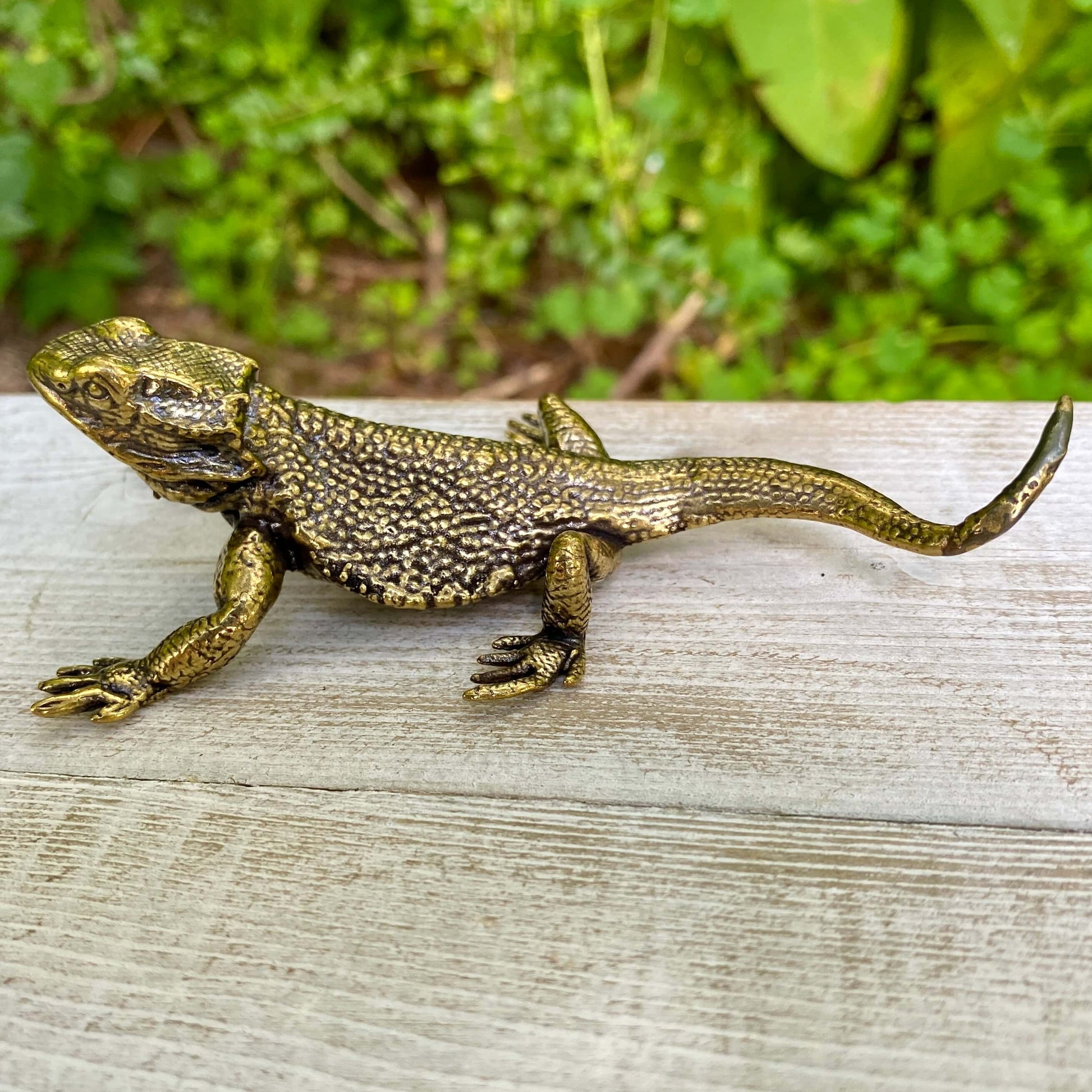 Solid brass lizard figurine by Wild Brass, symbol of regeneration, adaptability, and survival, with detailed natural lizard features.