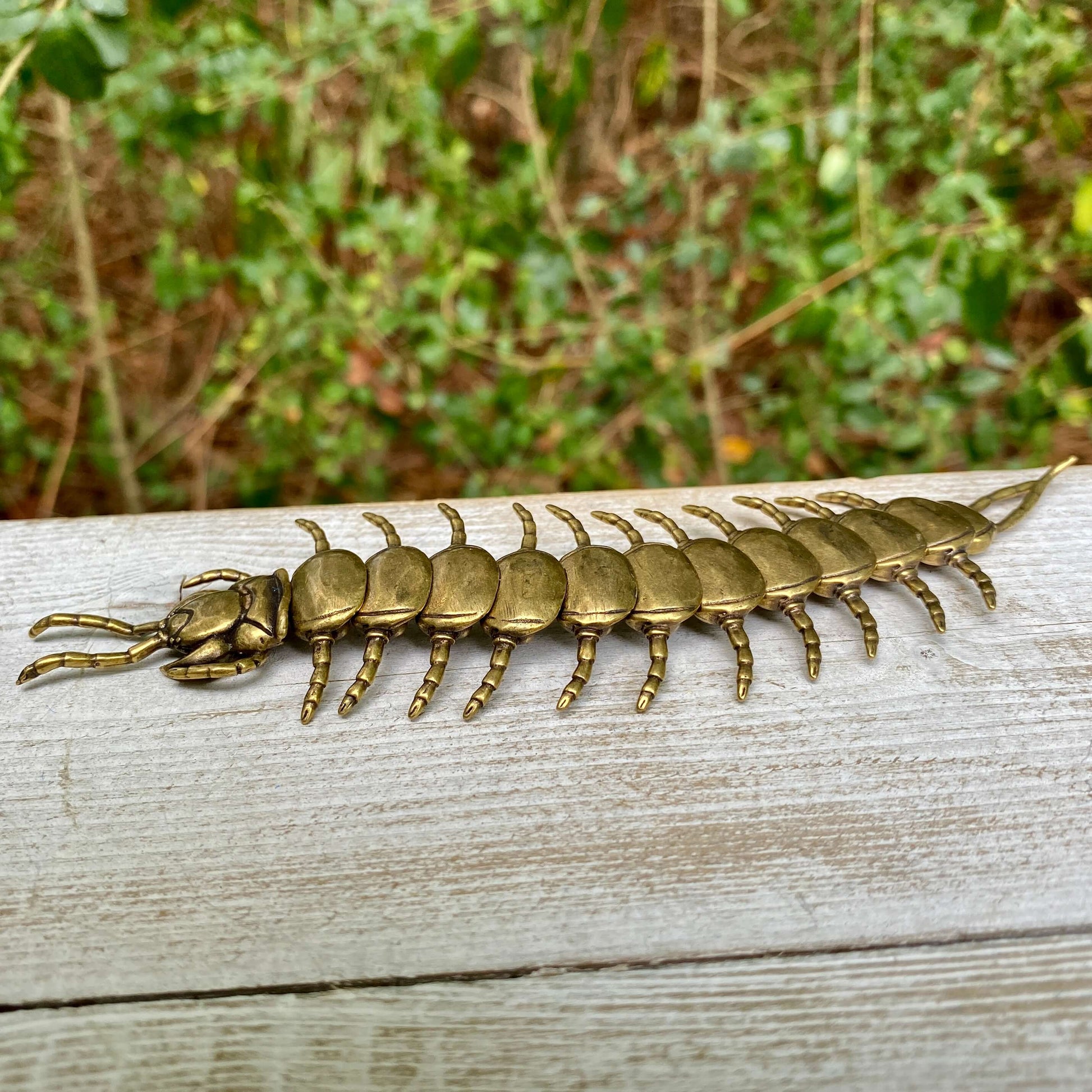 Wild Brass bendable solid brass centipede sculpture, symbol of protection, persistence, and flexibility, with detailed segmented body.