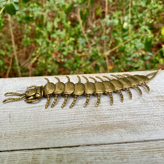 Wild Brass bendable solid brass centipede sculpture, symbol of protection, persistence, and flexibility, with detailed segmented body.