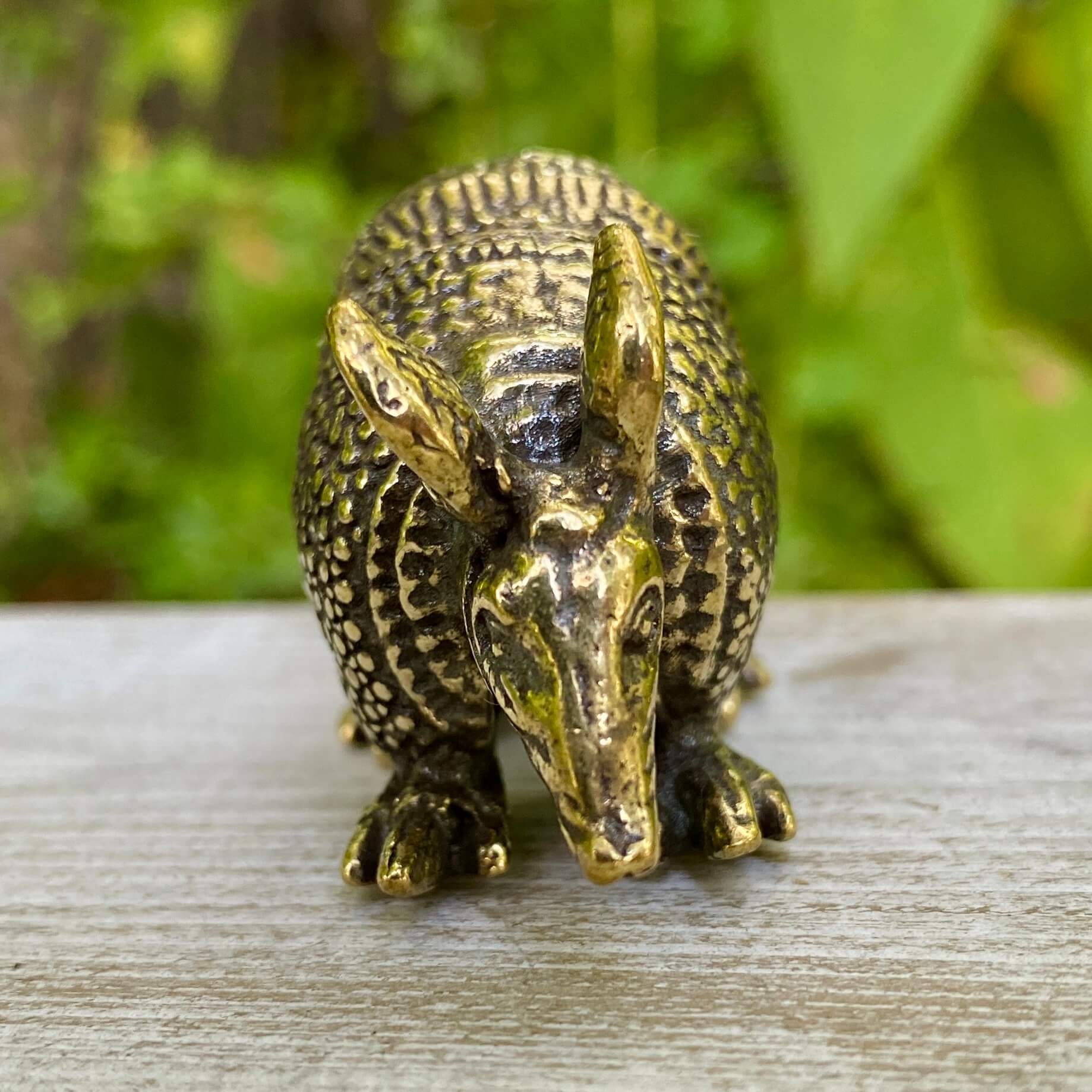 Solid brass armadillo sculpture by Wild Brass, symbol of protection and resilience, showcasing detailed craftsmanship and grounded energy.