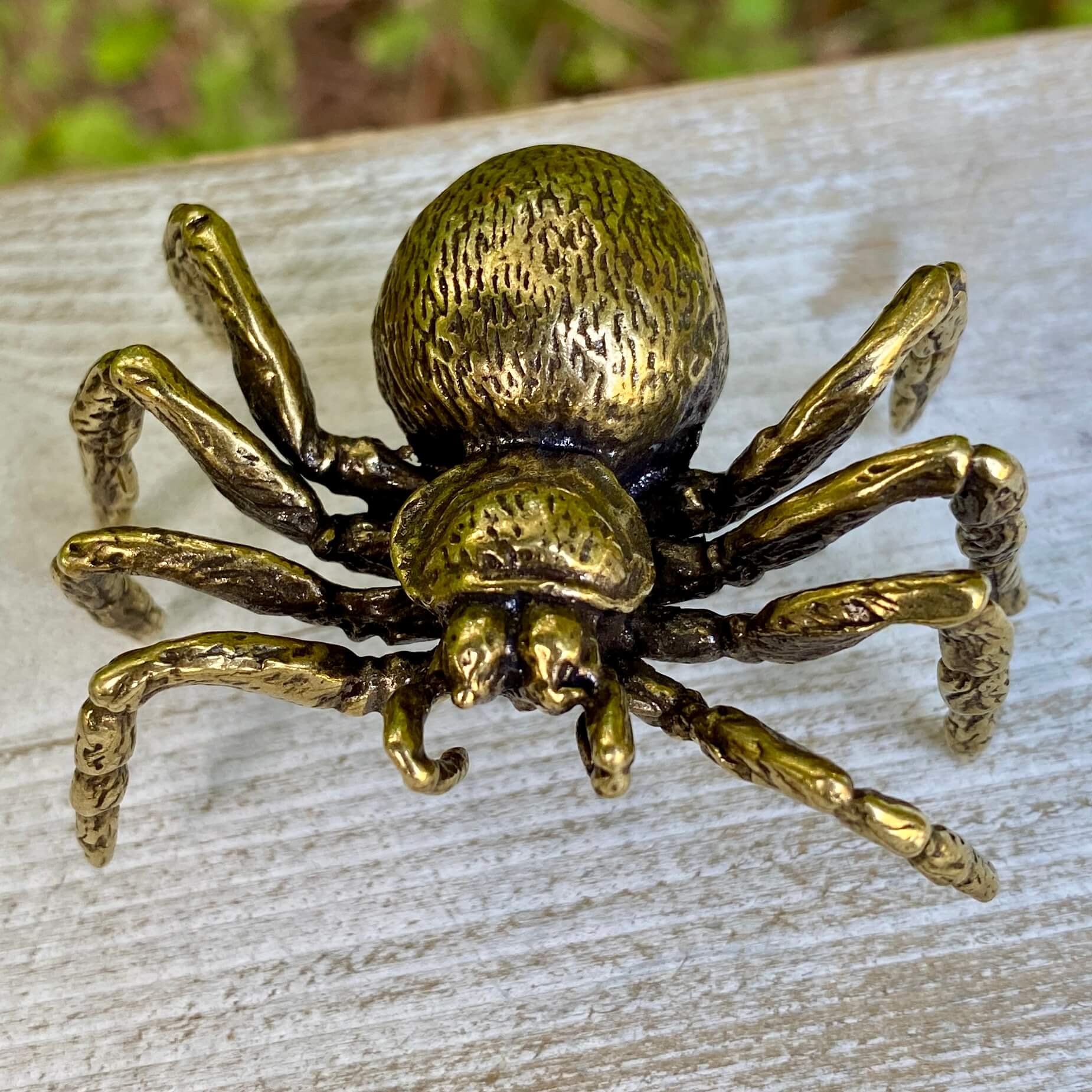 Solid brass tarantula spider figurine by Wild Brass, symbol of patience, creativity, and shadow wisdom, detailed and handcrafted.