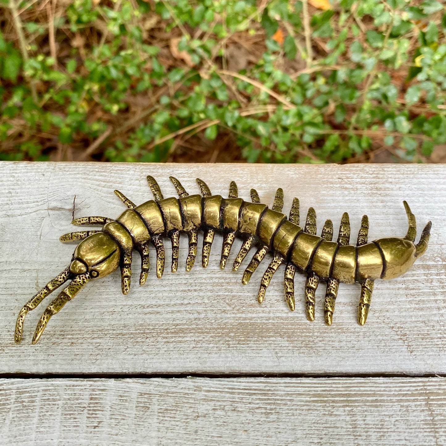Solid brass centipede figurine by Wild Brass, symbolizing protection, persistence, and flexibility, showcased with detailed craftsmanship.