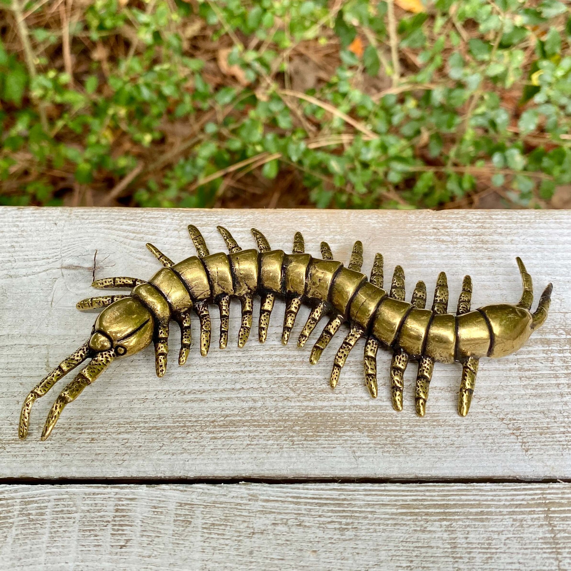 Solid brass centipede figurine by Wild Brass, symbolizing protection, persistence, and flexibility, showcased with detailed craftsmanship.