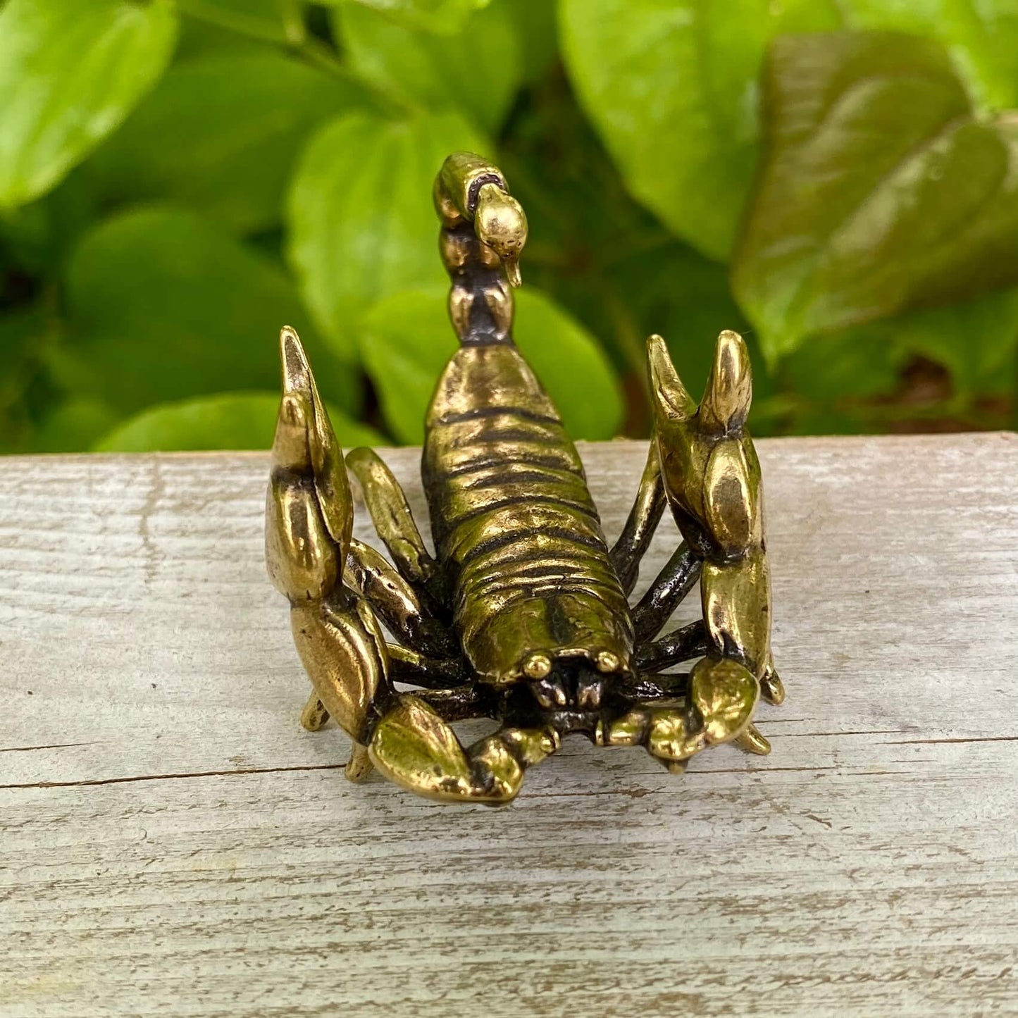 Solid Brass Scorpion - Symbol of Respect, Confidence & Power