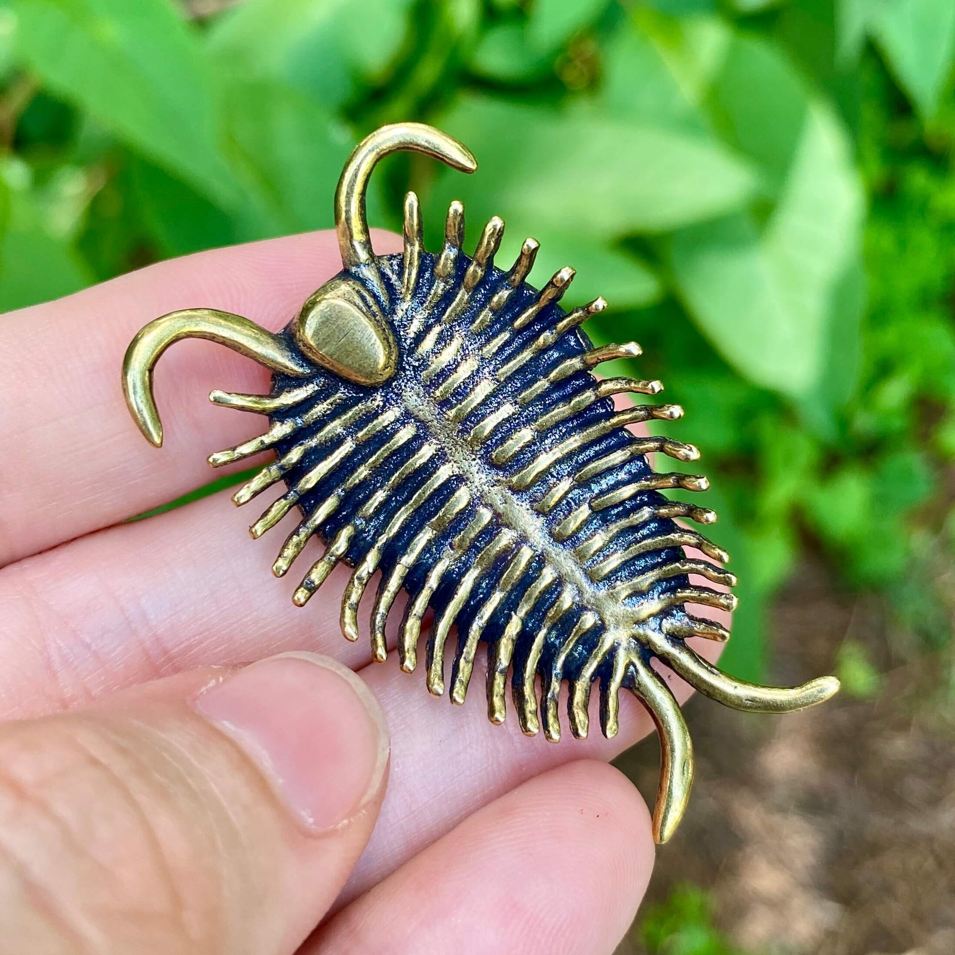Solid brass trilobite sculpture by Wild Brass, showcasing intricate details of the ancient marine creature symbolizing wisdom and resilience.