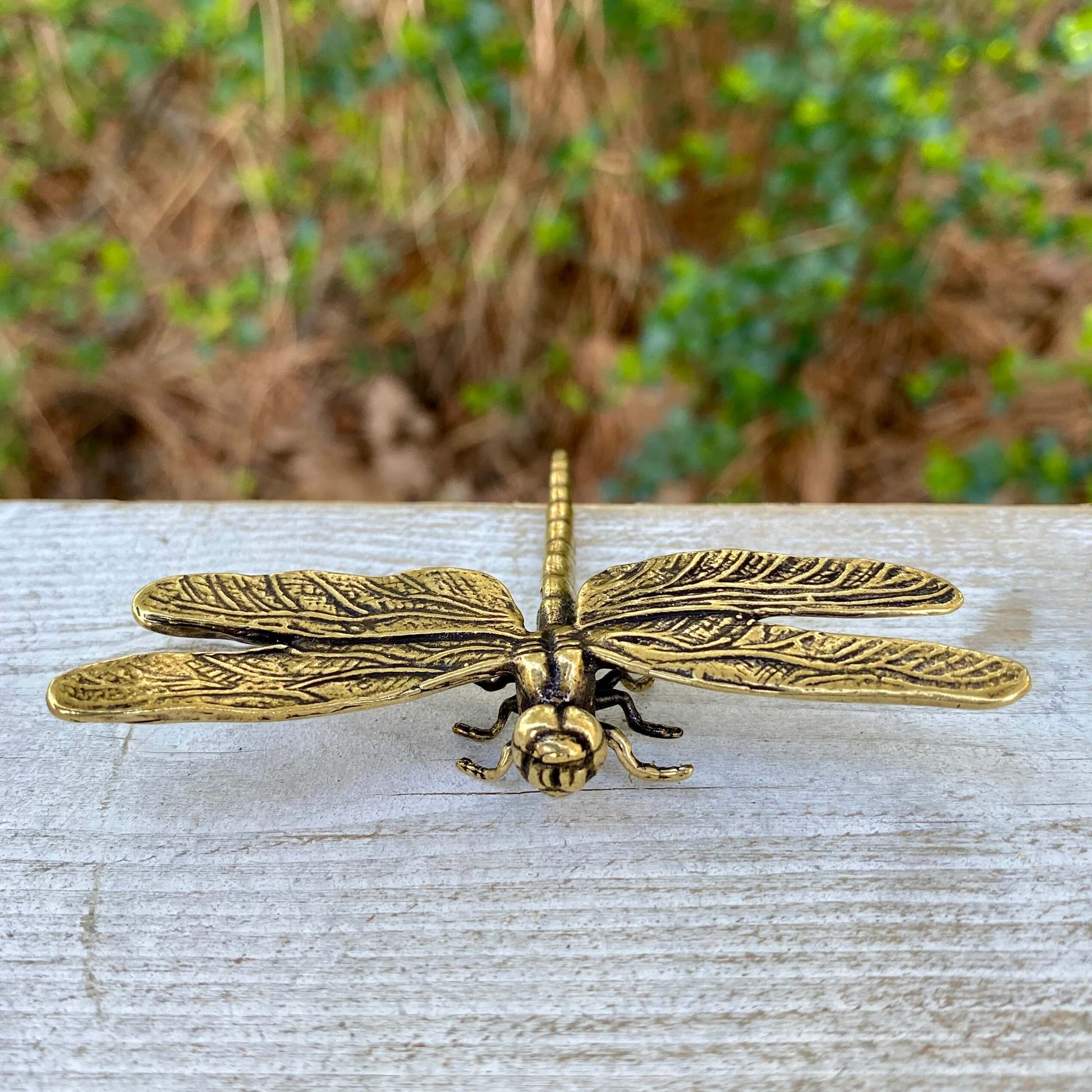Wild Brass solid brass dragonfly sculpture symbolizing self-realization and living in the moment, detailed and crafted for display.