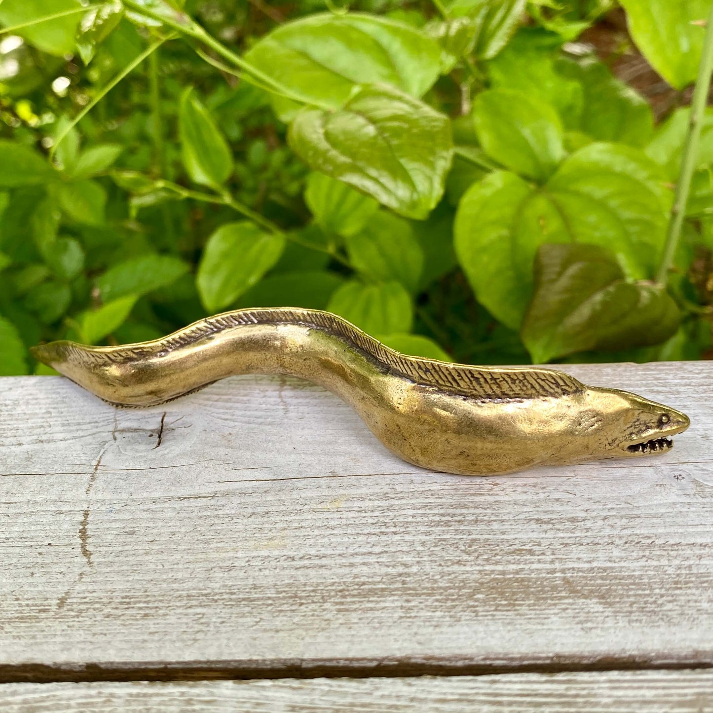 Solid Brass Electric Eel - Symbol of Energy, Hidden Power, Intuition