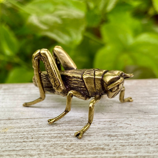 Solid Brass Grass Hopper / Cricket - Symbol of Good Fortune, Growth & Faith