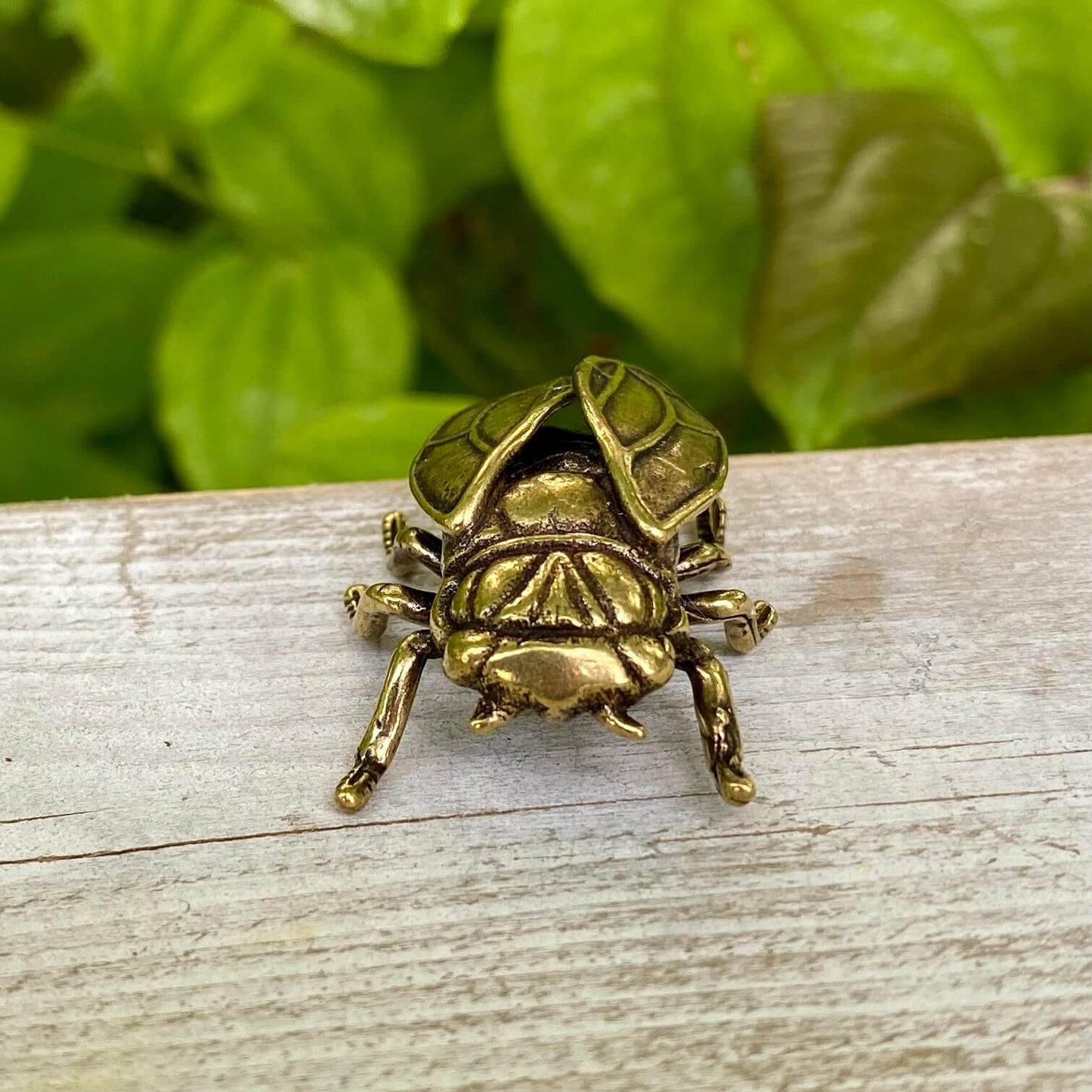 Solid Brass Cicada - Symbol of Personal Growth, Awakening & Renewal