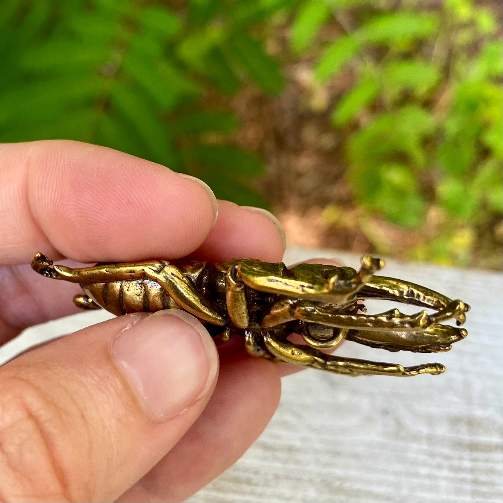 Solid brass stag beetle bug from Wild Brass, symbol of strength and protection, detailed with realistic features on a neutral background.