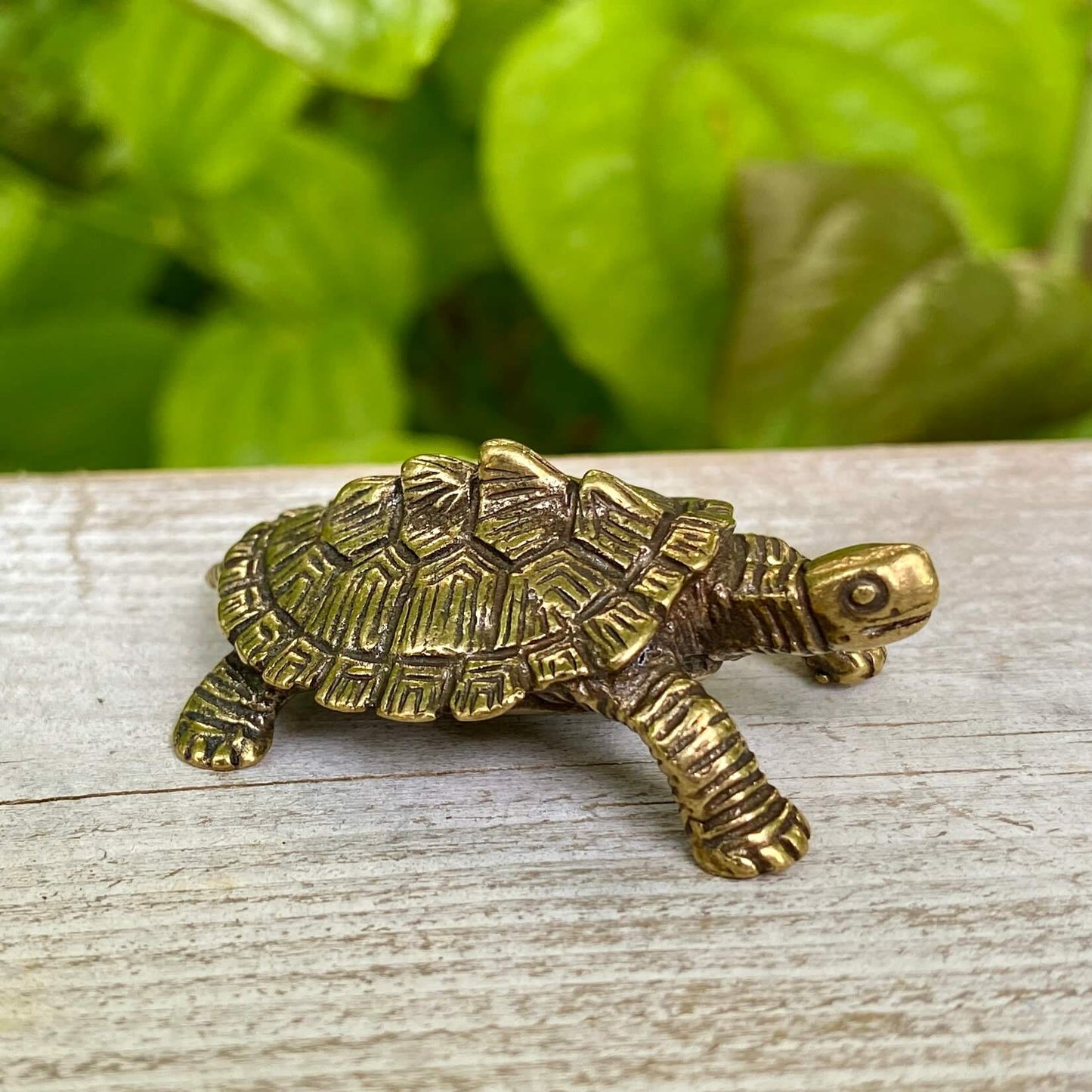 Solid Brass Snapping Turtle - Symbol of Patience & Following your Path