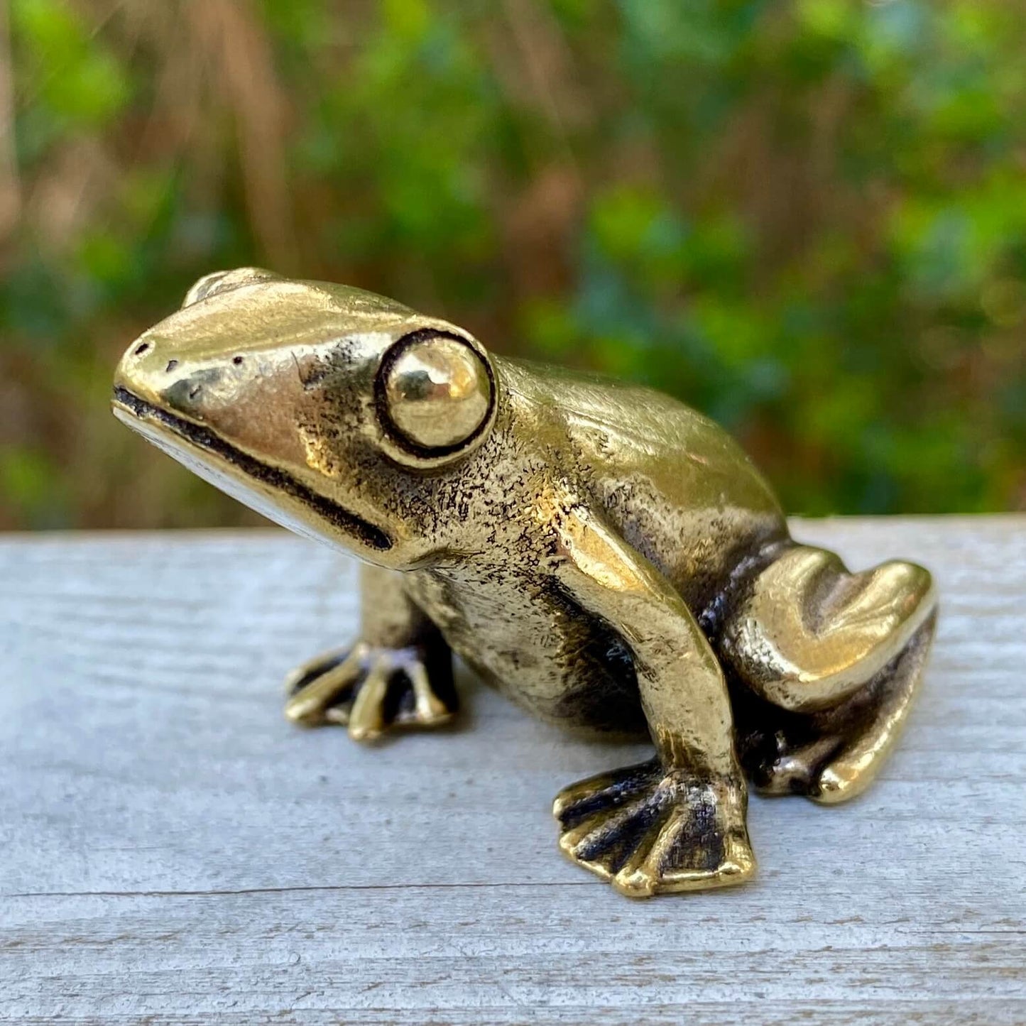Solid brass frog figurine from Wild Brass, symbolizing transformation, renewal, and luck, detailed with a polished finish.
