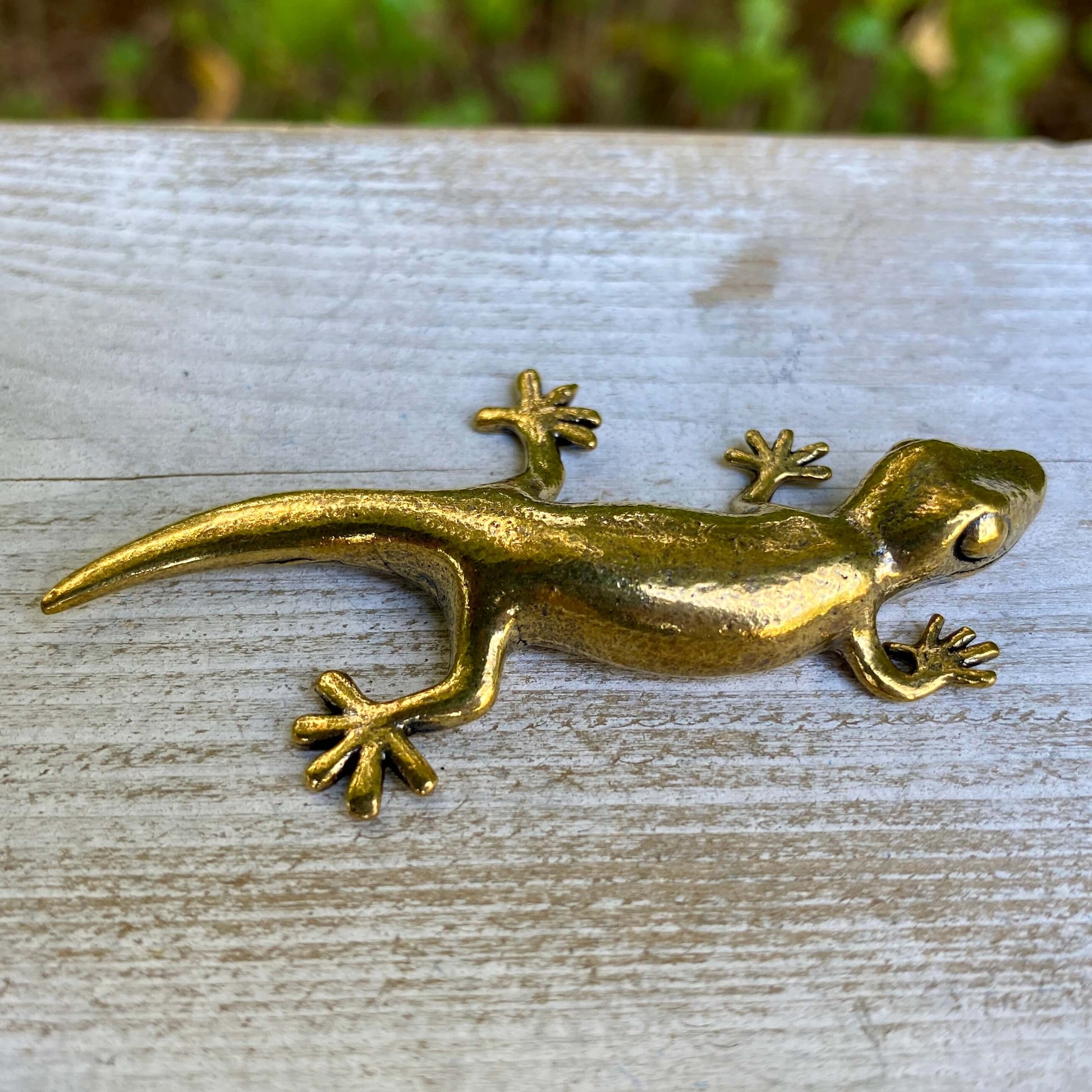 Solid brass gecko sculpture by Wild Brass, symbol of renewal, adaptability, and resilience, with detailed craftsmanship.