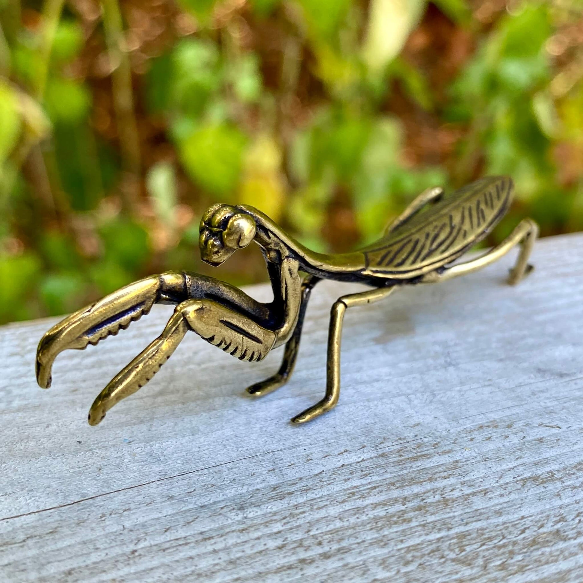 Solid brass praying mantis statue by Wild Brass, symbol of stillness, patience, and mindfulness, detailed insect sculpture.