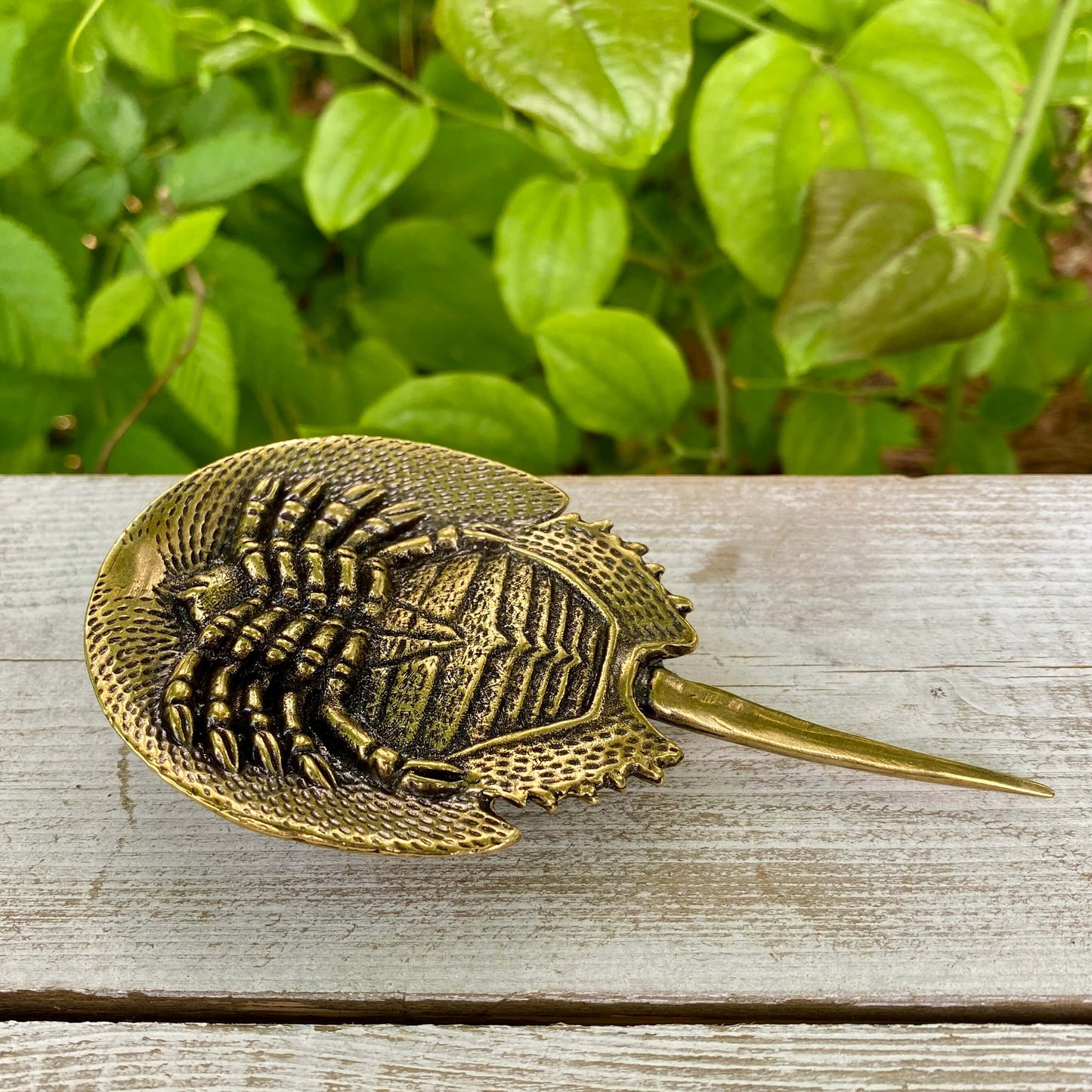 Solid Brass Horseshoe Crab - Symbol of Wisdom, Protection & Strength - A61