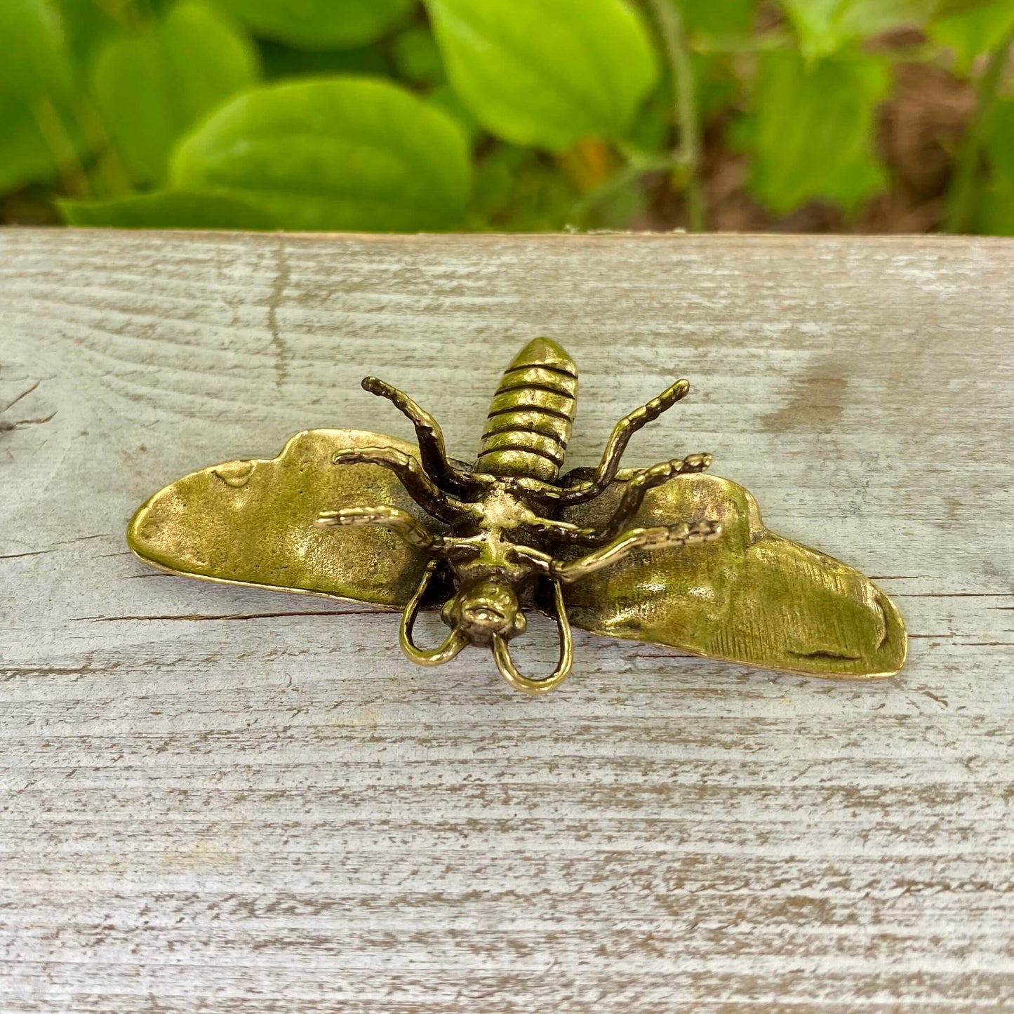 Solid Brass Moth - Symbol of Spiritual Growth, Transformation & Trusting Your Path