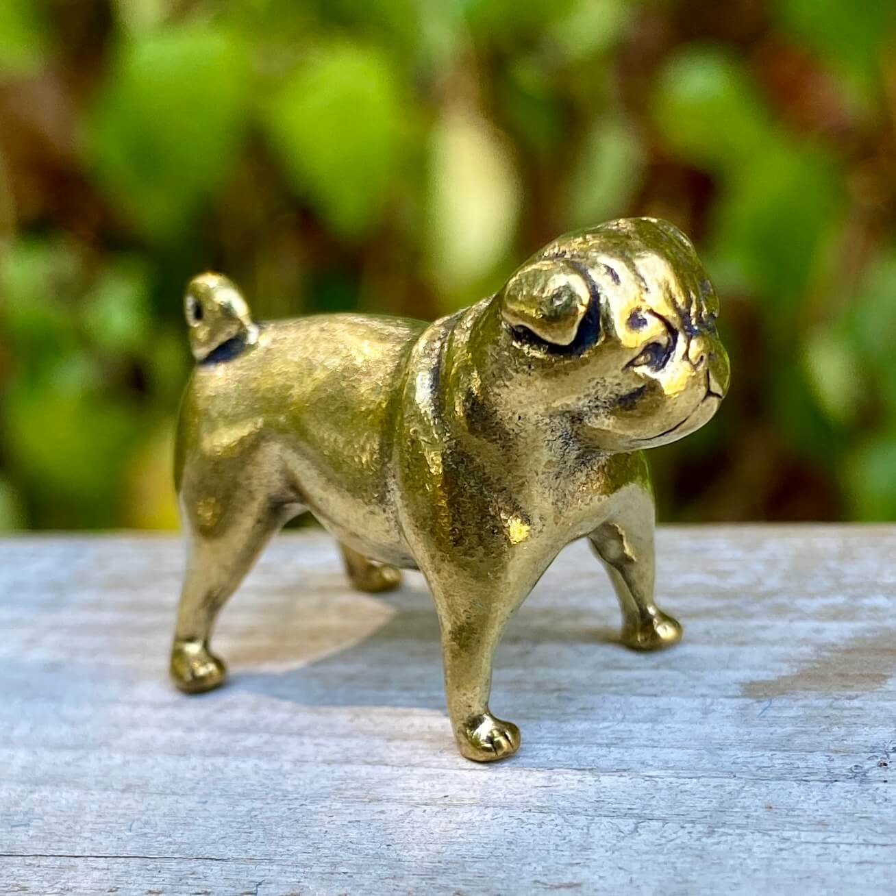Solid brass pug figurine by Wild Brass, symbol of devotion, charm, and good fortune, detailed with a friendly pug face and smooth finish.