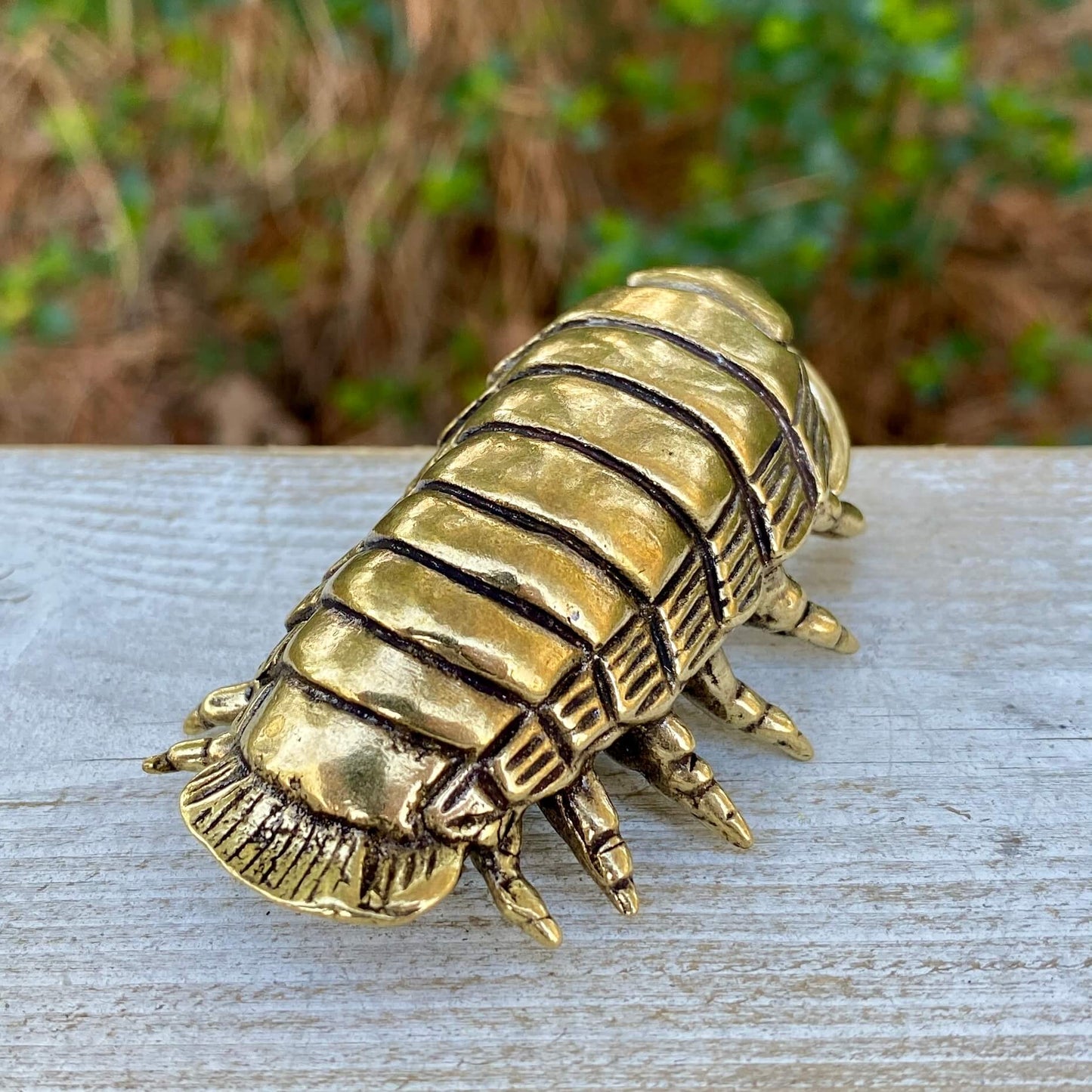 Solid brass giant isopod sculpture by Wild Brass, showcasing detailed, realistic features of this curiosity symbol.