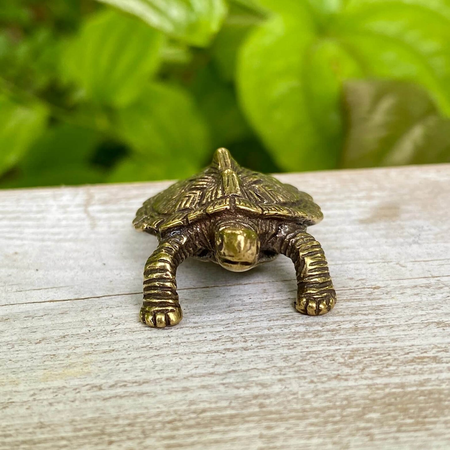 Solid Brass Snapping Turtle - Symbol of Patience & Following your Path