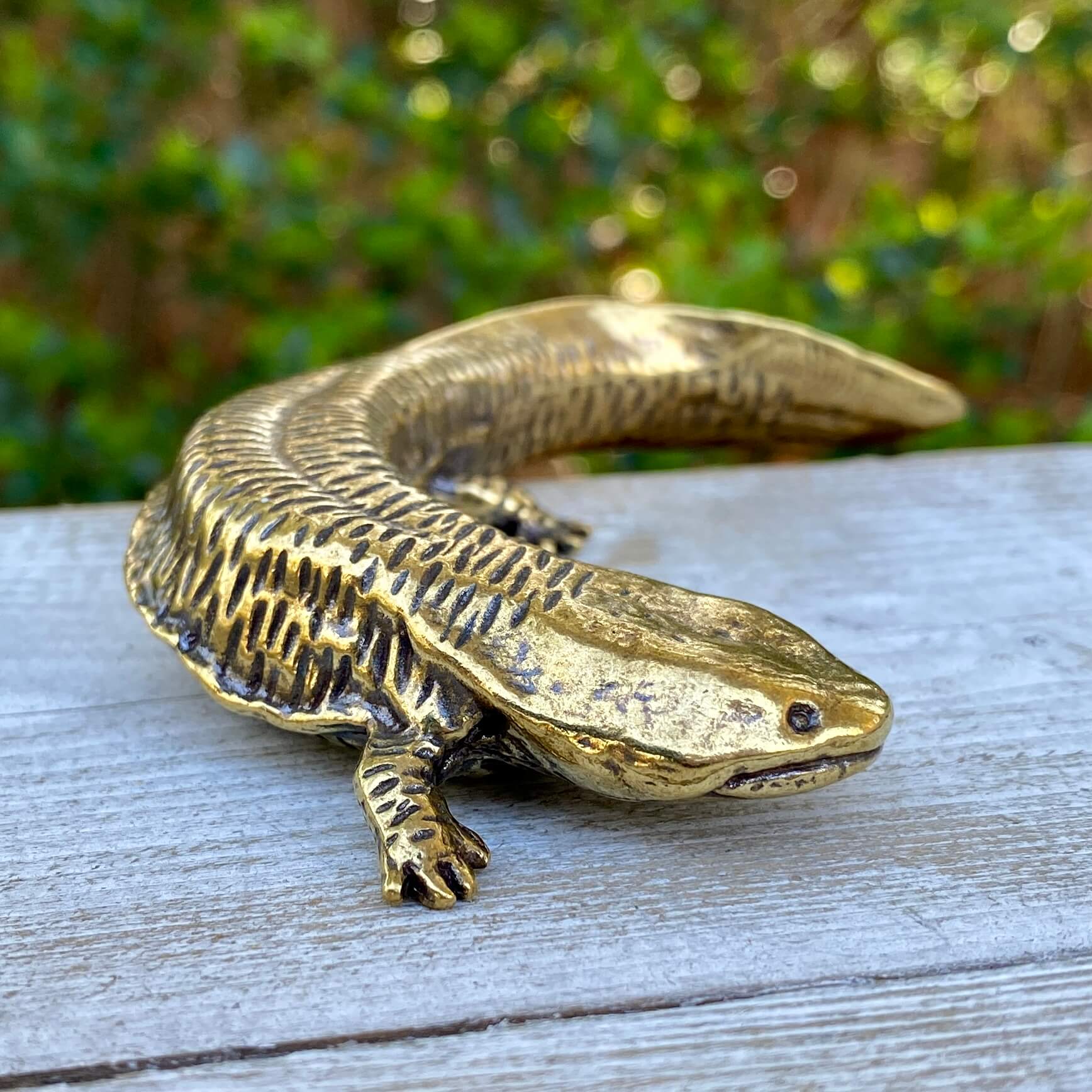 Solid brass salamander sculpture by Wild Brass, showcasing a detailed, resilient axolotl with a smooth, polished finish.