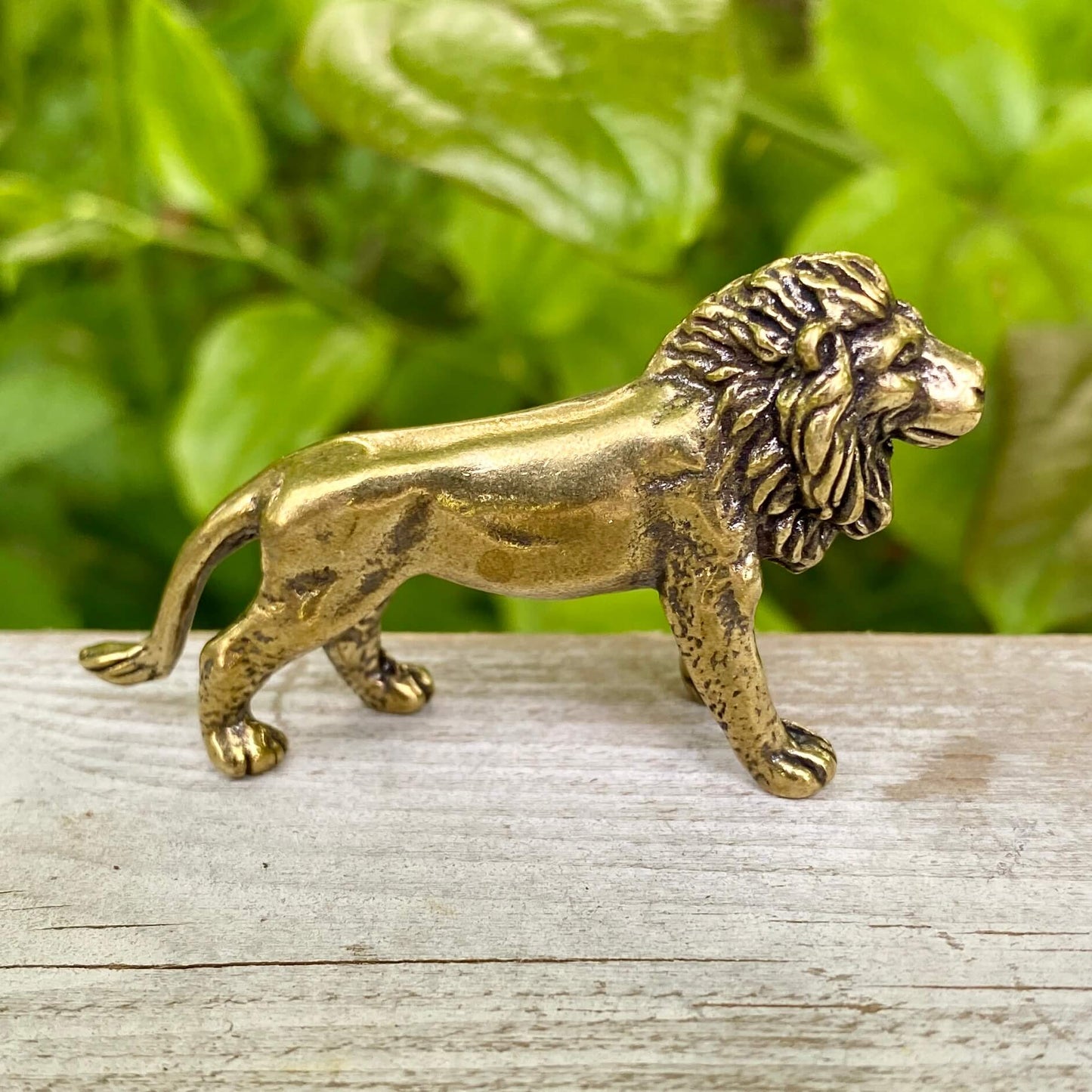 Solid Brass Lion – Symbol of Courage, Leadership & Strength