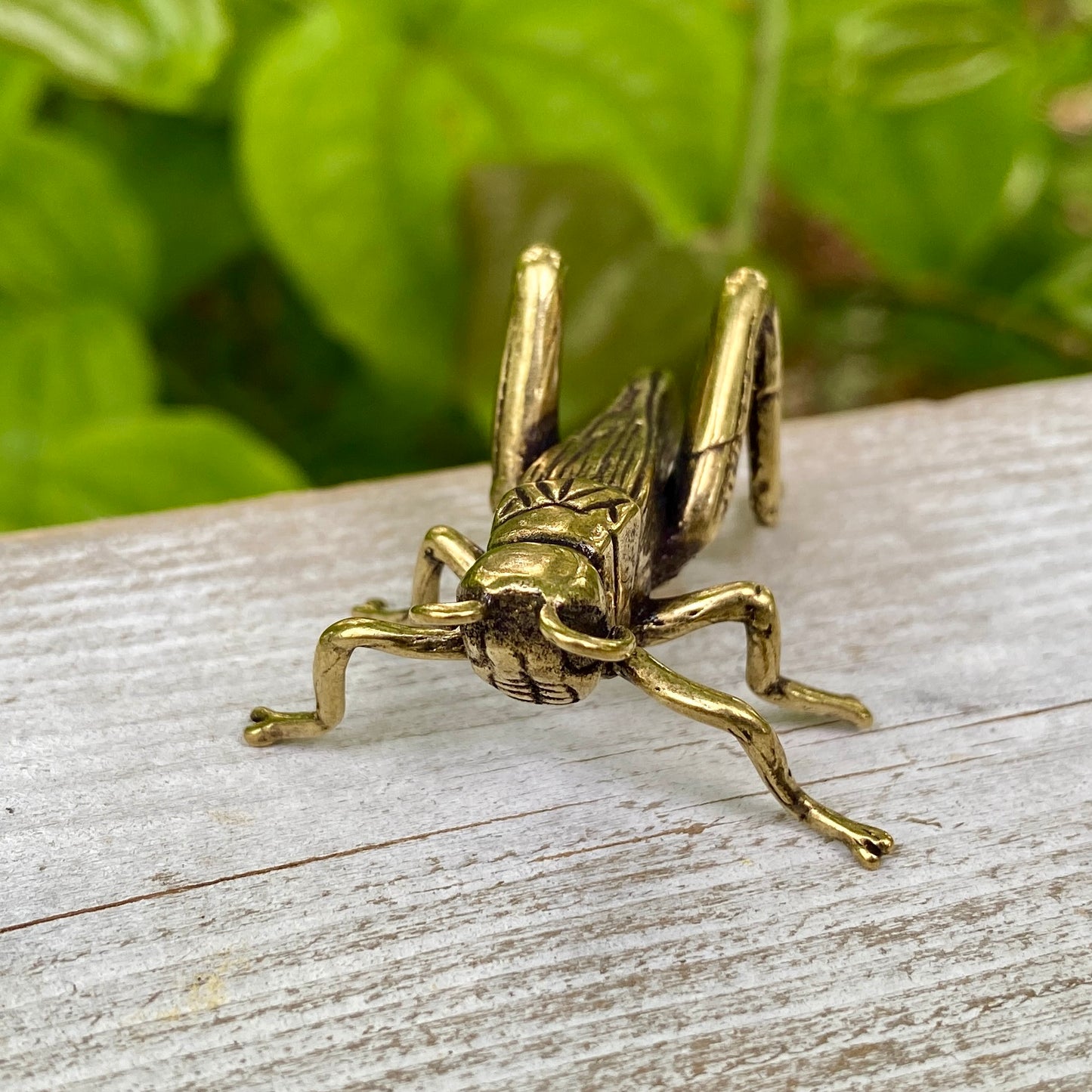Solid Brass Grass Hopper / Cricket - Symbol of Good Fortune, Growth & Faith