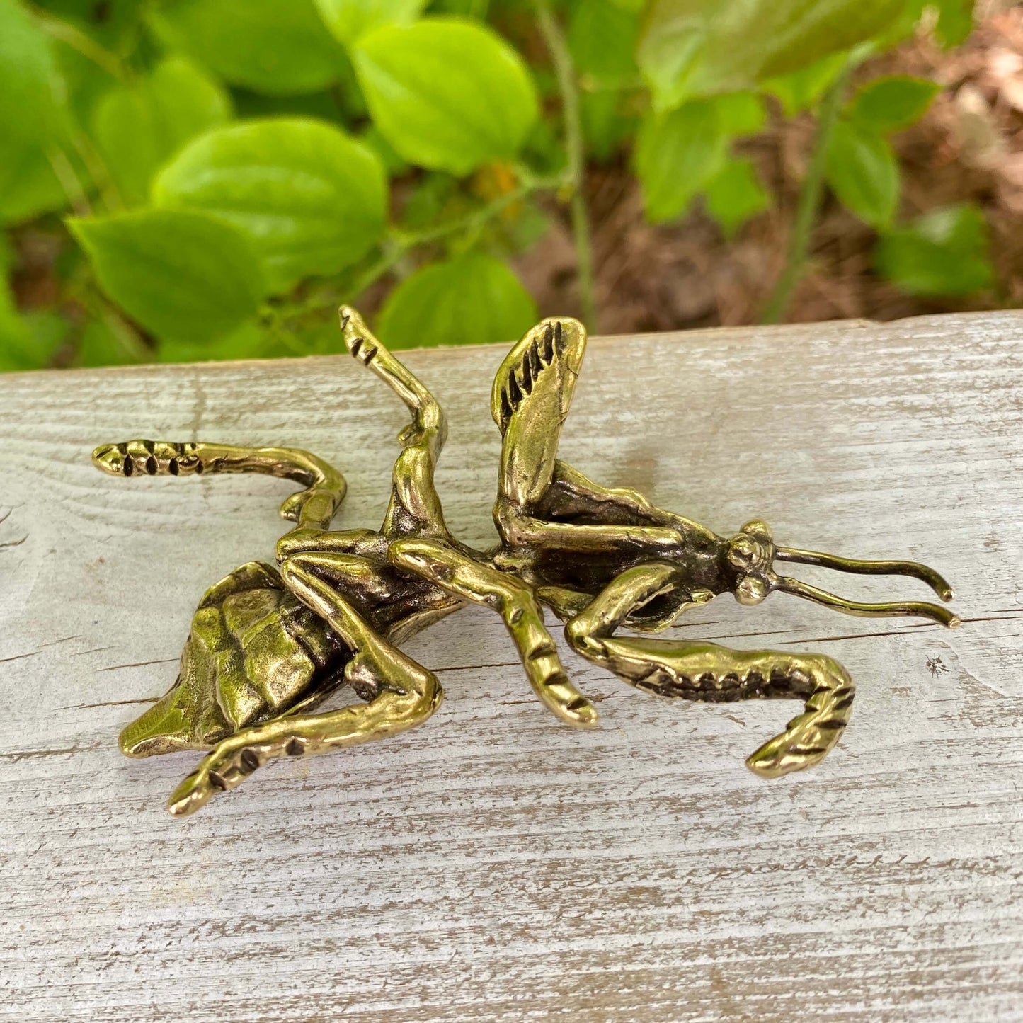 Solid Brass Devils Flower Mantis - Symbol of Transformation - Precision & Patience
