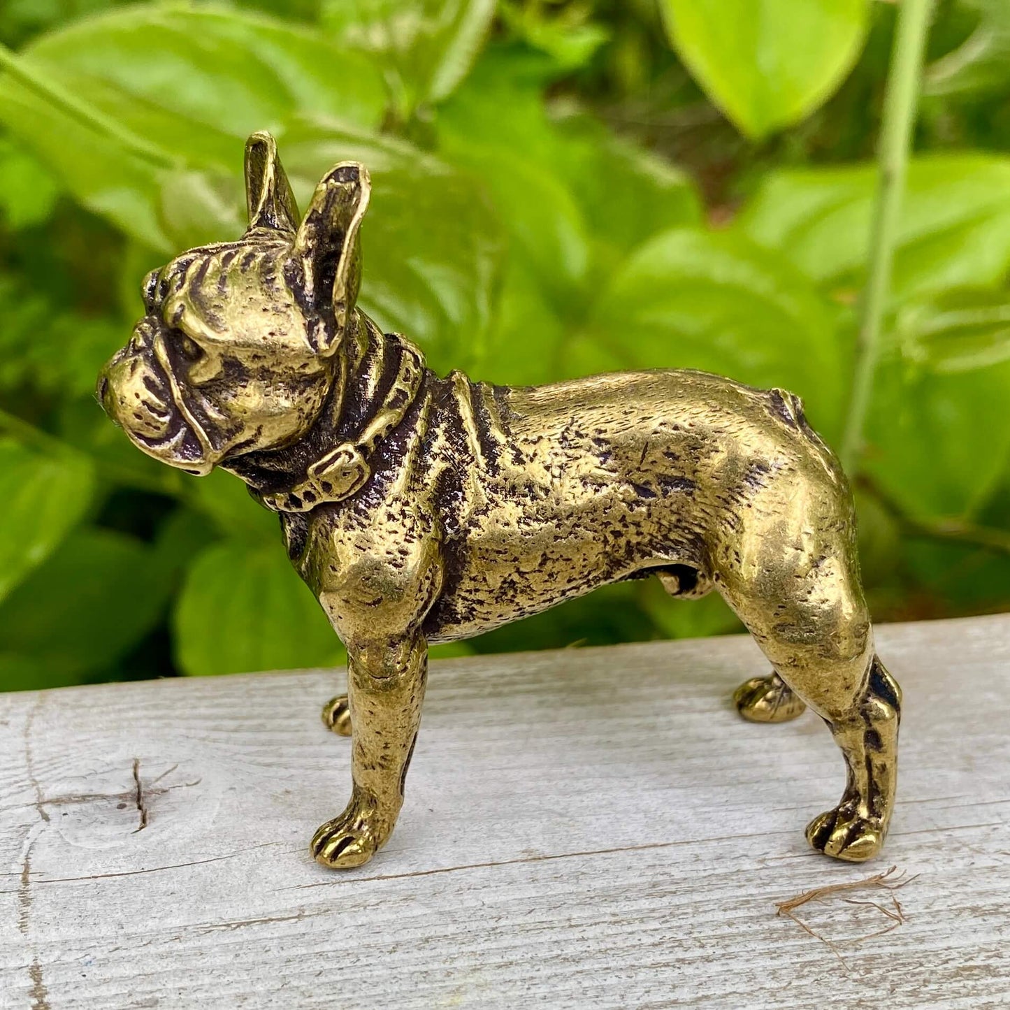 Solid Brass French Bulldog Dog / Frenchie - Symbol of Charm, Loyalty & Friendship