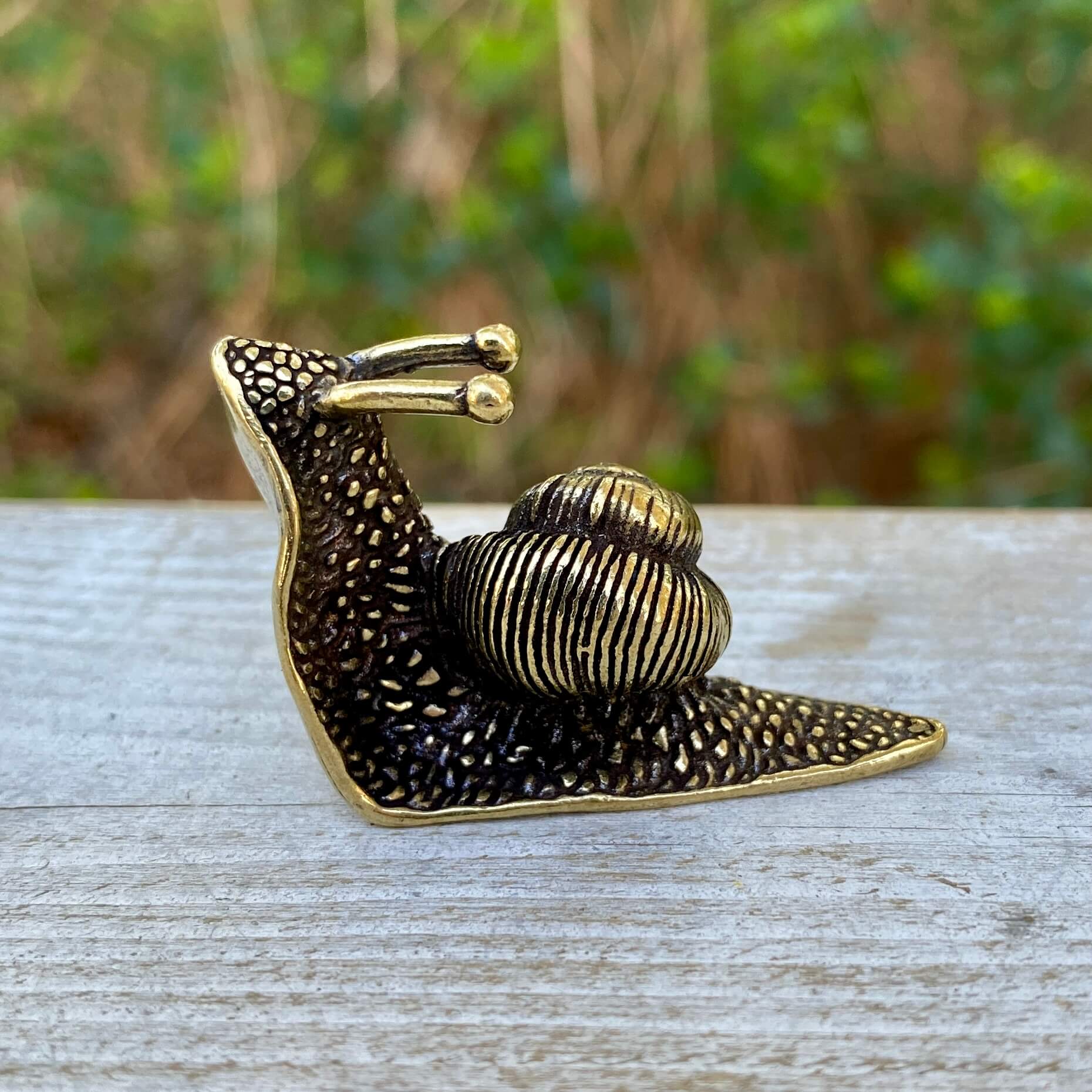 Solid brass snail sculpture by Wild Brass, symbol of patience, mindfulness, and calm, detailed and polished for decorative display.