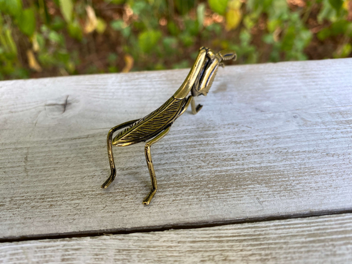 Solid brass praying mantis sculpture by Wild Brass, symbolizing stillness, patience, and mindfulness in detailed craftsmanship.