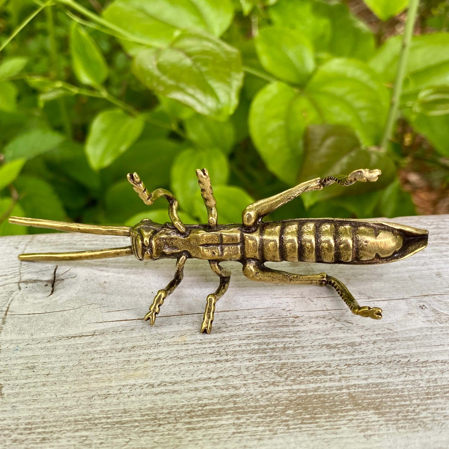 Solid Brass Grass Hopper - Symbol of Good Fortune, Growth & Faith