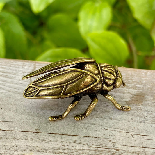 Solid Brass Cicada - Symbol of Personal Growth, Awakening & Renewal