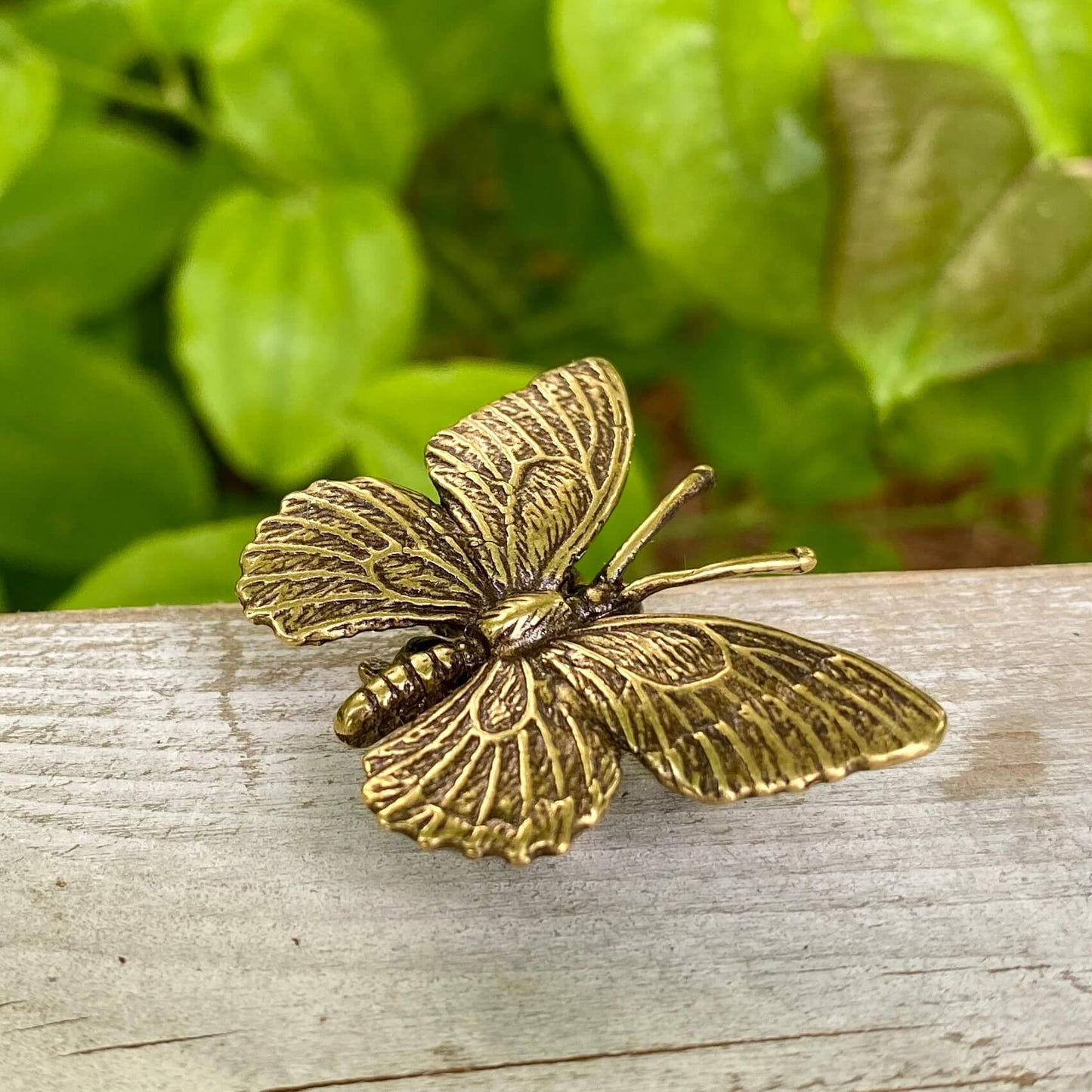 Solid Brass Butterfly - Symbol of Metamorphosis, Transformation & Revealing your True Self